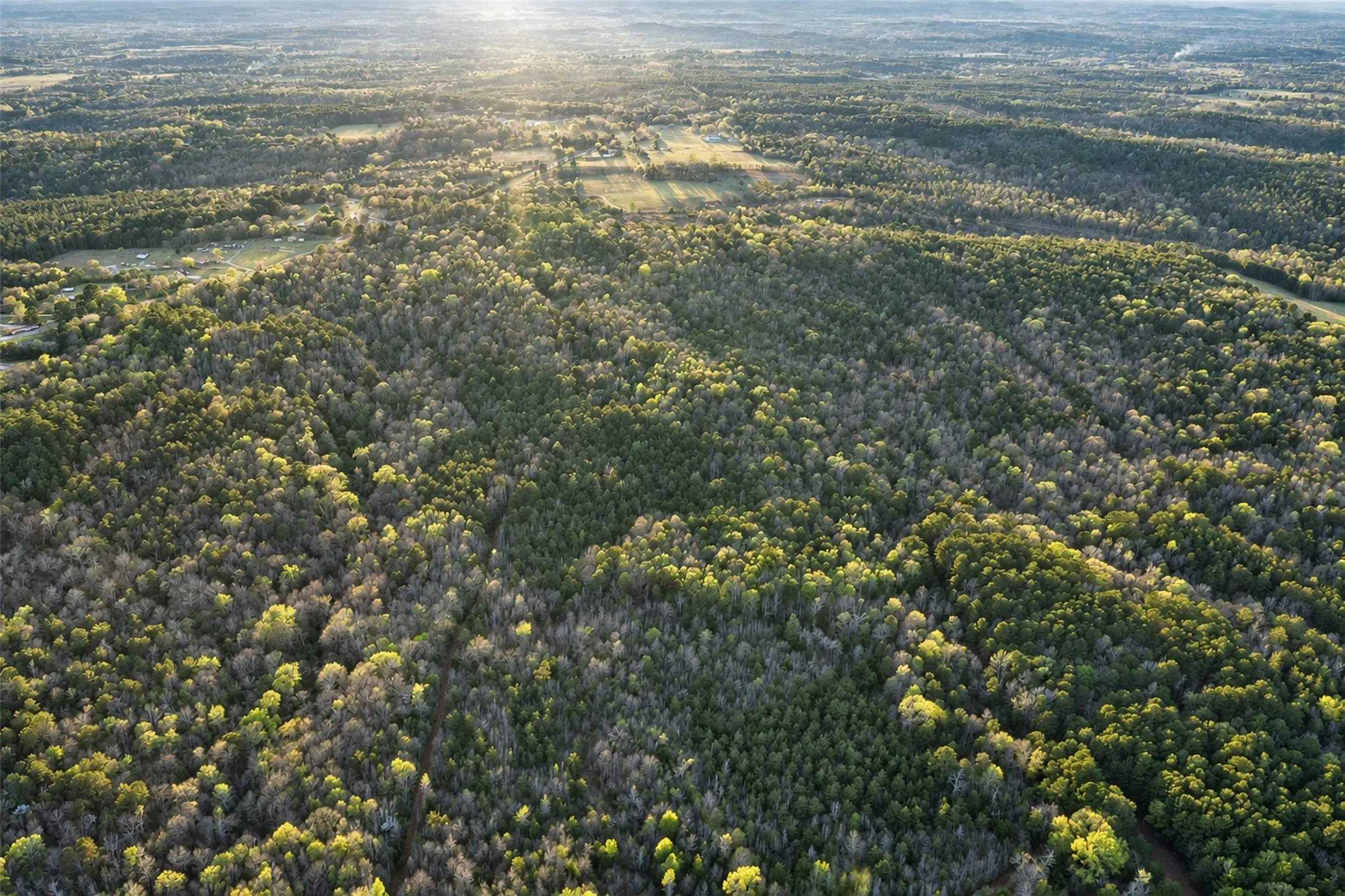 Unimproved Land For Sale in Cherokee County , 0 Farm to Market Road 747, Jacksonville, Texas 75766, 0, 0, Garage spaces, 0 Sqft, built in 0, mls#21213336, Real Estate Agent in Jacksonville, Homes For Sale in Cherokee county, Homes For Sale in Jacksonville, Realtor in Jacksonville Texas, Real Estate Brokerage Independent Realty Texas, Luminita Cordes Realtor