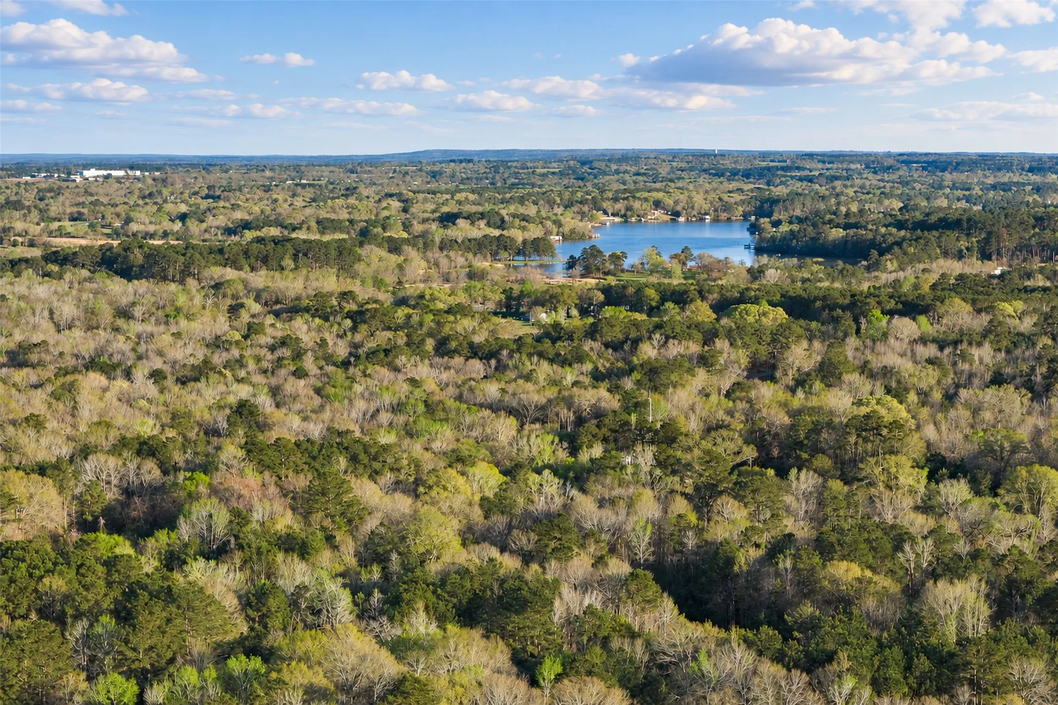 Unimproved Land For Sale in Cherokee County , 0 Farm to Market Road 747, Jacksonville, Texas 75766, 0, 0, Garage spaces, 0 Sqft, built in 0, mls#21213336, Real Estate Agent in Jacksonville, Homes For Sale in Cherokee county, Homes For Sale in Jacksonville, Realtor in Jacksonville Texas, Real Estate Brokerage Independent Realty Texas, Luminita Cordes Realtor