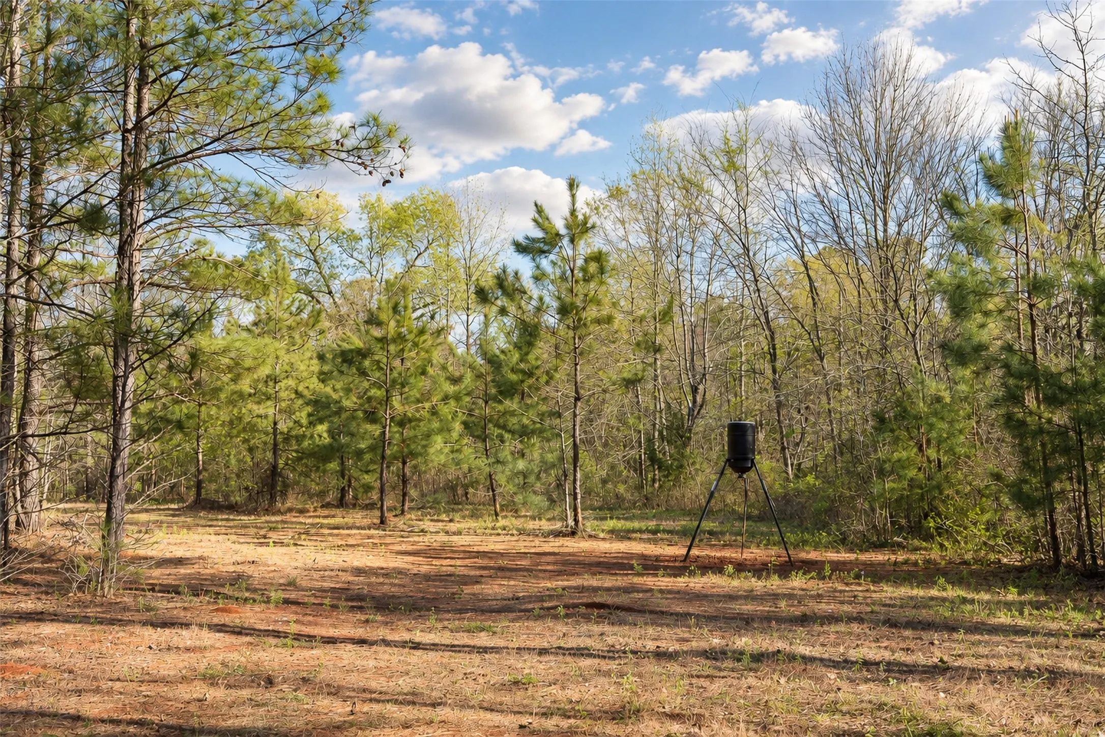 Unimproved Land For Sale in Cherokee County , 0 Farm to Market Road 747, Jacksonville, Texas 75766, 0, 0, Garage spaces, 0 Sqft, built in 0, mls#21213336, Real Estate Agent in Jacksonville, Homes For Sale in Cherokee county, Homes For Sale in Jacksonville, Realtor in Jacksonville Texas, Real Estate Brokerage Independent Realty Texas, Luminita Cordes Realtor