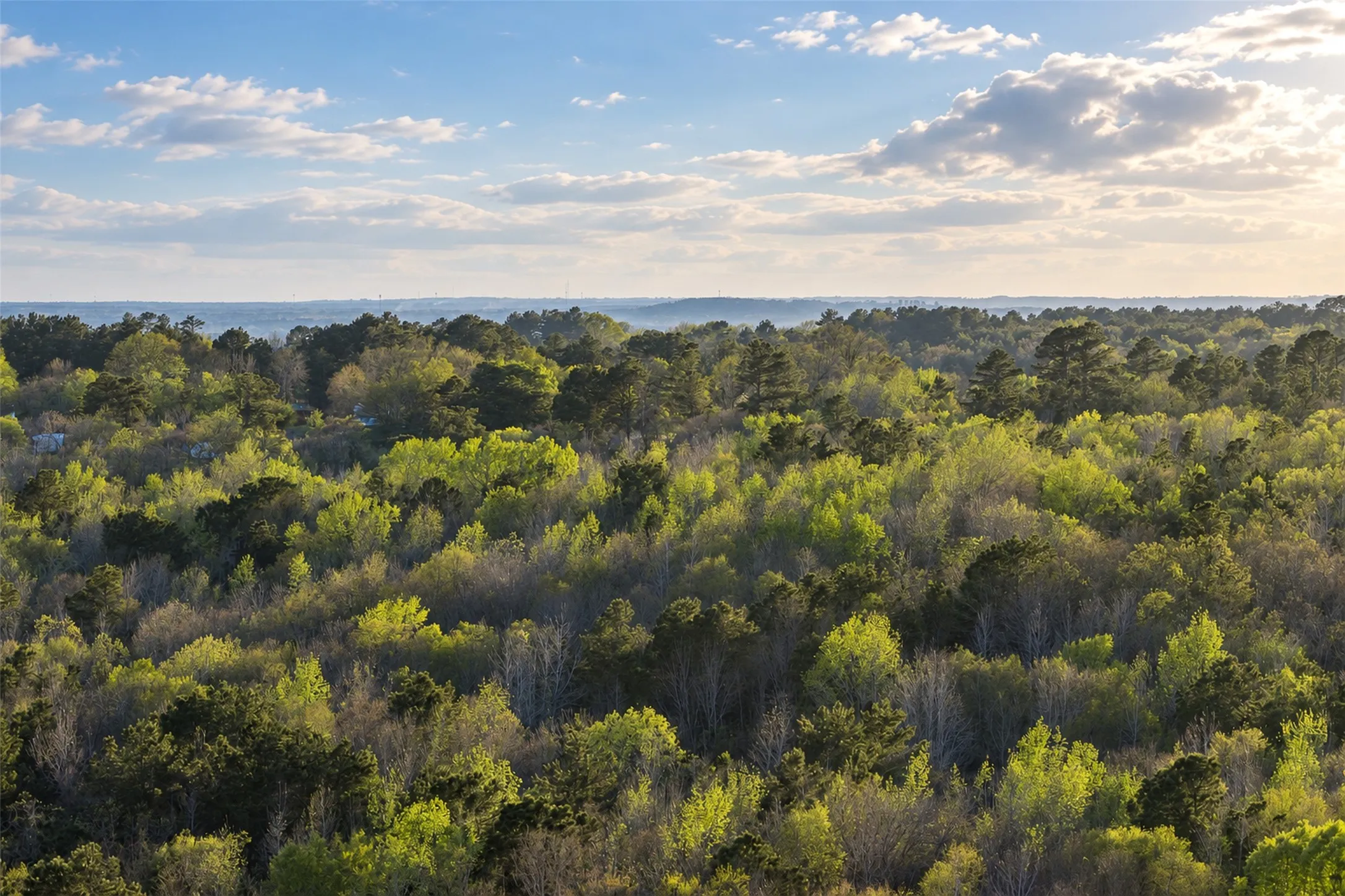 Unimproved Land For Sale in Cherokee County , 0 Farm to Market Road 747, Jacksonville, Texas 75766, 0, 0, Garage spaces, 0 Sqft, built in 0, mls#21213336, Real Estate Agent in Jacksonville, Homes For Sale in Cherokee county, Homes For Sale in Jacksonville, Realtor in Jacksonville Texas, Real Estate Brokerage Independent Realty Texas, Luminita Cordes Realtor