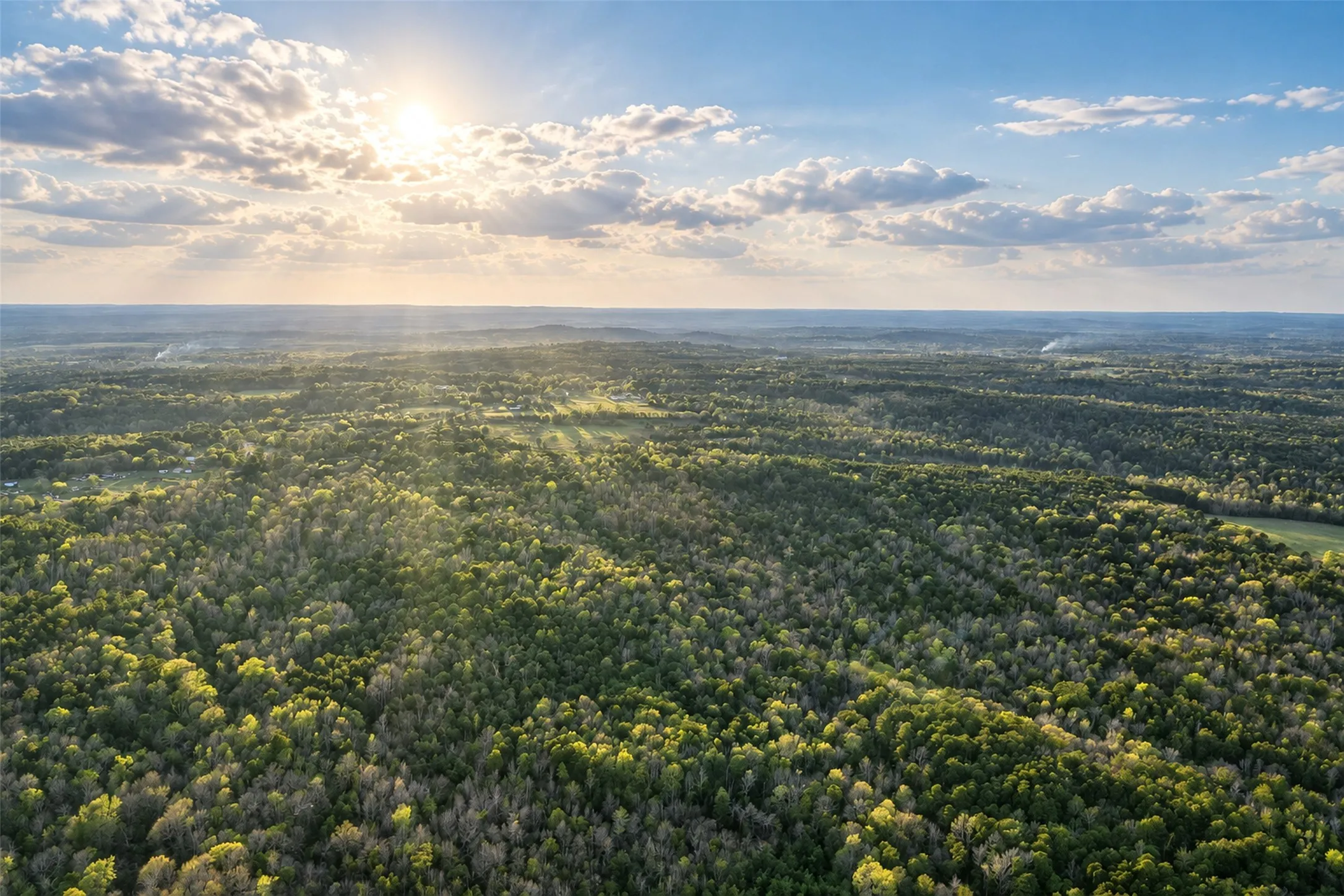 Unimproved Land For Sale in Cherokee County , 0 Farm to Market Road 747, Jacksonville, Texas 75766, 0, 0, Garage spaces, 0 Sqft, built in 0, mls#21213336, Real Estate Agent in Jacksonville, Homes For Sale in Cherokee county, Homes For Sale in Jacksonville, Realtor in Jacksonville Texas, Real Estate Brokerage Independent Realty Texas, Luminita Cordes Realtor