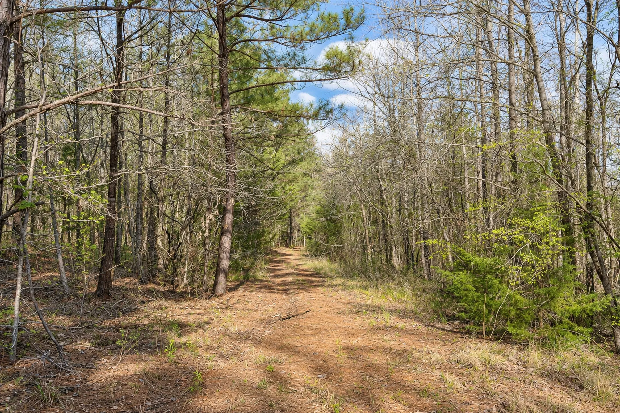 Unimproved Land For Sale in Cherokee County , 0 Farm to Market Road 747, Jacksonville, Texas 75766, 0, 0, Garage spaces, 0 Sqft, built in 0, mls#21213336, Real Estate Agent in Jacksonville, Homes For Sale in Cherokee county, Homes For Sale in Jacksonville, Realtor in Jacksonville Texas, Real Estate Brokerage Independent Realty Texas, Luminita Cordes Realtor