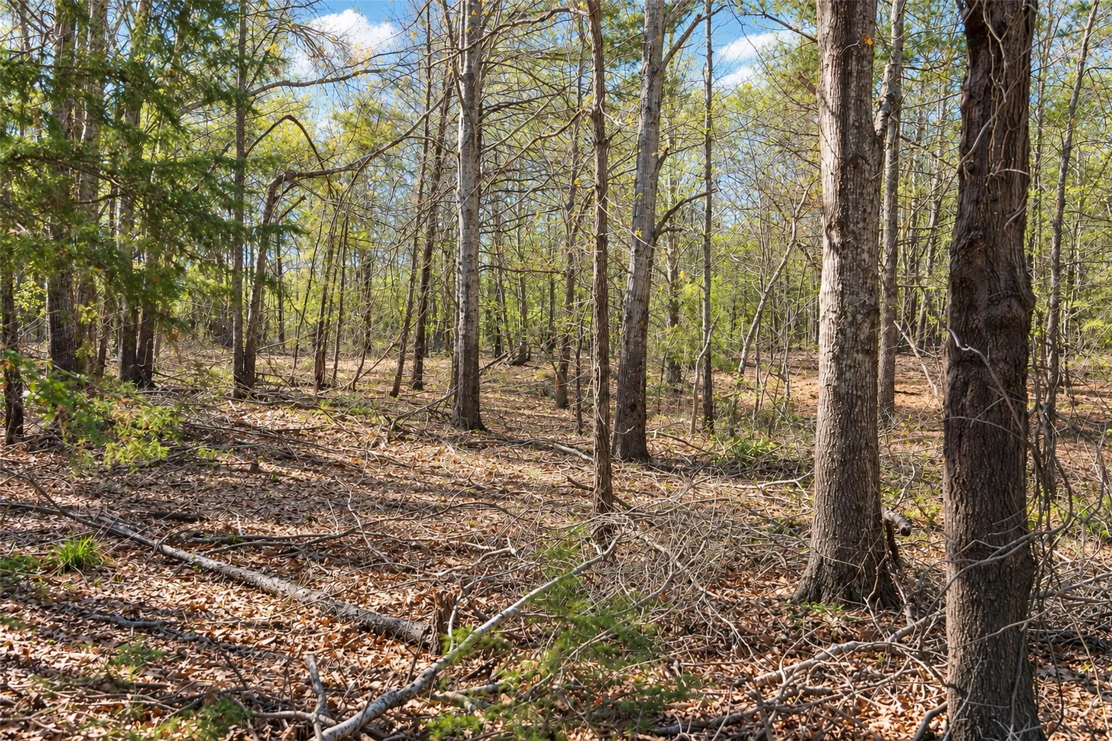 Unimproved Land For Sale in Cherokee County , 0 Farm to Market Road 747, Jacksonville, Texas 75766, 0, 0, Garage spaces, 0 Sqft, built in 0, mls#21213336, Real Estate Agent in Jacksonville, Homes For Sale in Cherokee county, Homes For Sale in Jacksonville, Realtor in Jacksonville Texas, Real Estate Brokerage Independent Realty Texas, Luminita Cordes Realtor