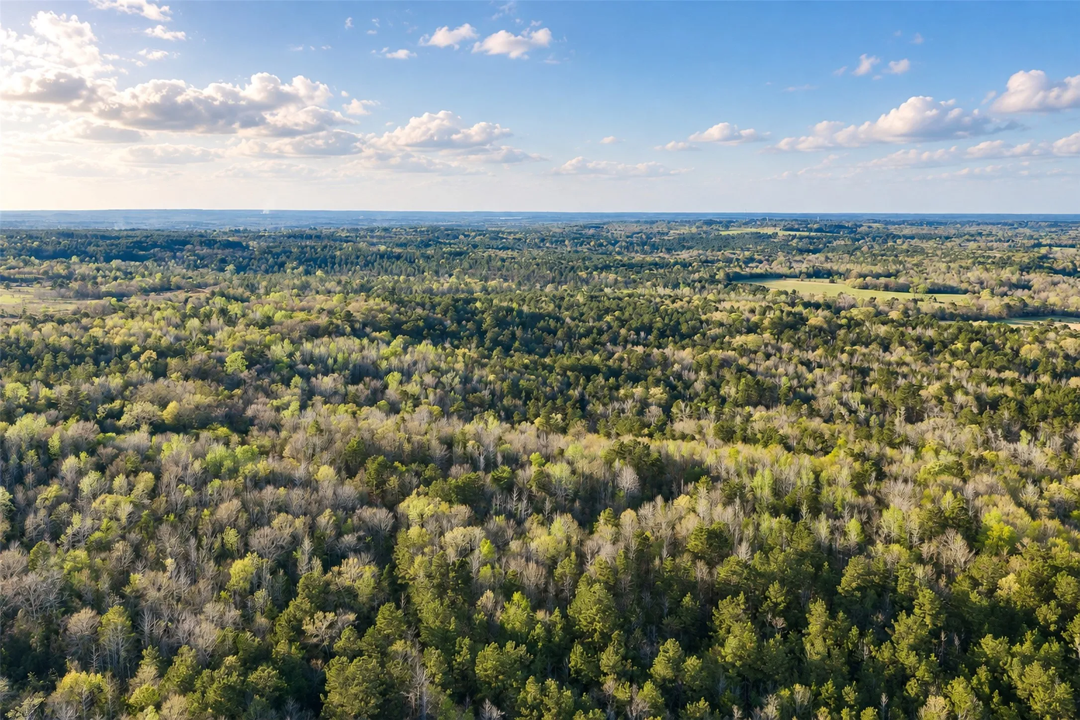 Unimproved Land For Sale in Cherokee County , 0 Farm to Market Road 747, Jacksonville, Texas 75766, 0, 0, Garage spaces, 0 Sqft, built in 0, mls#21213336, Real Estate Agent in Jacksonville, Homes For Sale in Cherokee county, Homes For Sale in Jacksonville, Realtor in Jacksonville Texas, Real Estate Brokerage Independent Realty Texas, Luminita Cordes Realtor