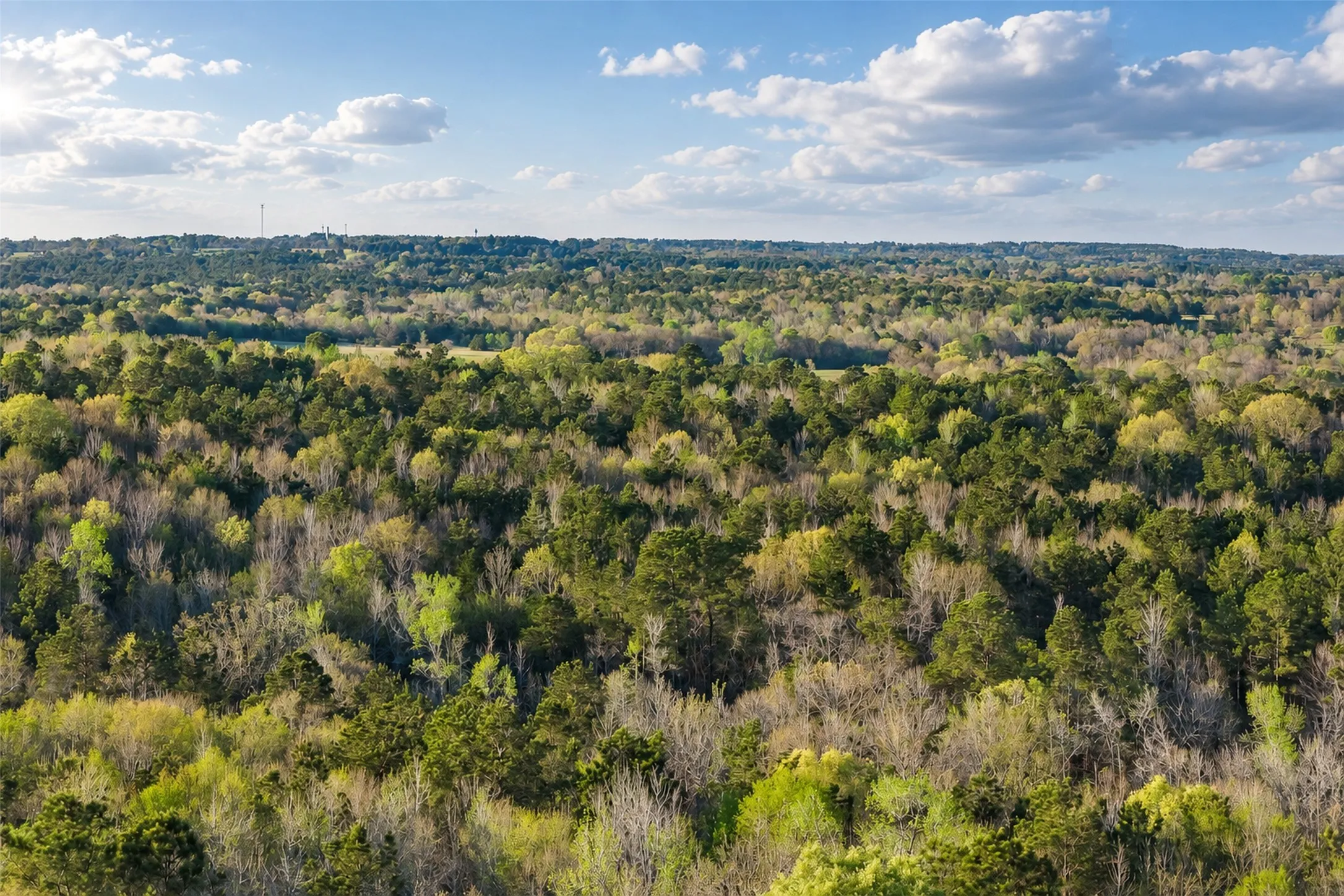 Unimproved Land For Sale in Cherokee County , 0 Farm to Market Road 747, Jacksonville, Texas 75766, 0, 0, Garage spaces, 0 Sqft, built in 0, mls#21213336, Real Estate Agent in Jacksonville, Homes For Sale in Cherokee county, Homes For Sale in Jacksonville, Realtor in Jacksonville Texas, Real Estate Brokerage Independent Realty Texas, Luminita Cordes Realtor