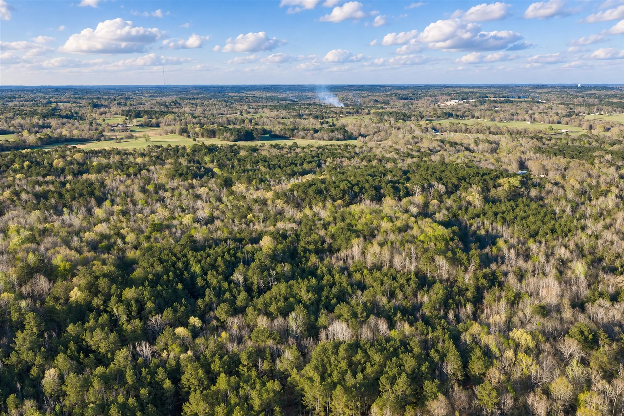 Unimproved Land For Sale in Cherokee County , 0 Farm to Market Road 747, Jacksonville, Texas 75766, 0, 0, Garage spaces, 0 Sqft, built in 0, mls#21213336, Real Estate Agent in Jacksonville, Homes For Sale in Cherokee county, Homes For Sale in Jacksonville, Realtor in Jacksonville Texas, Real Estate Brokerage Independent Realty Texas, Luminita Cordes Realtor