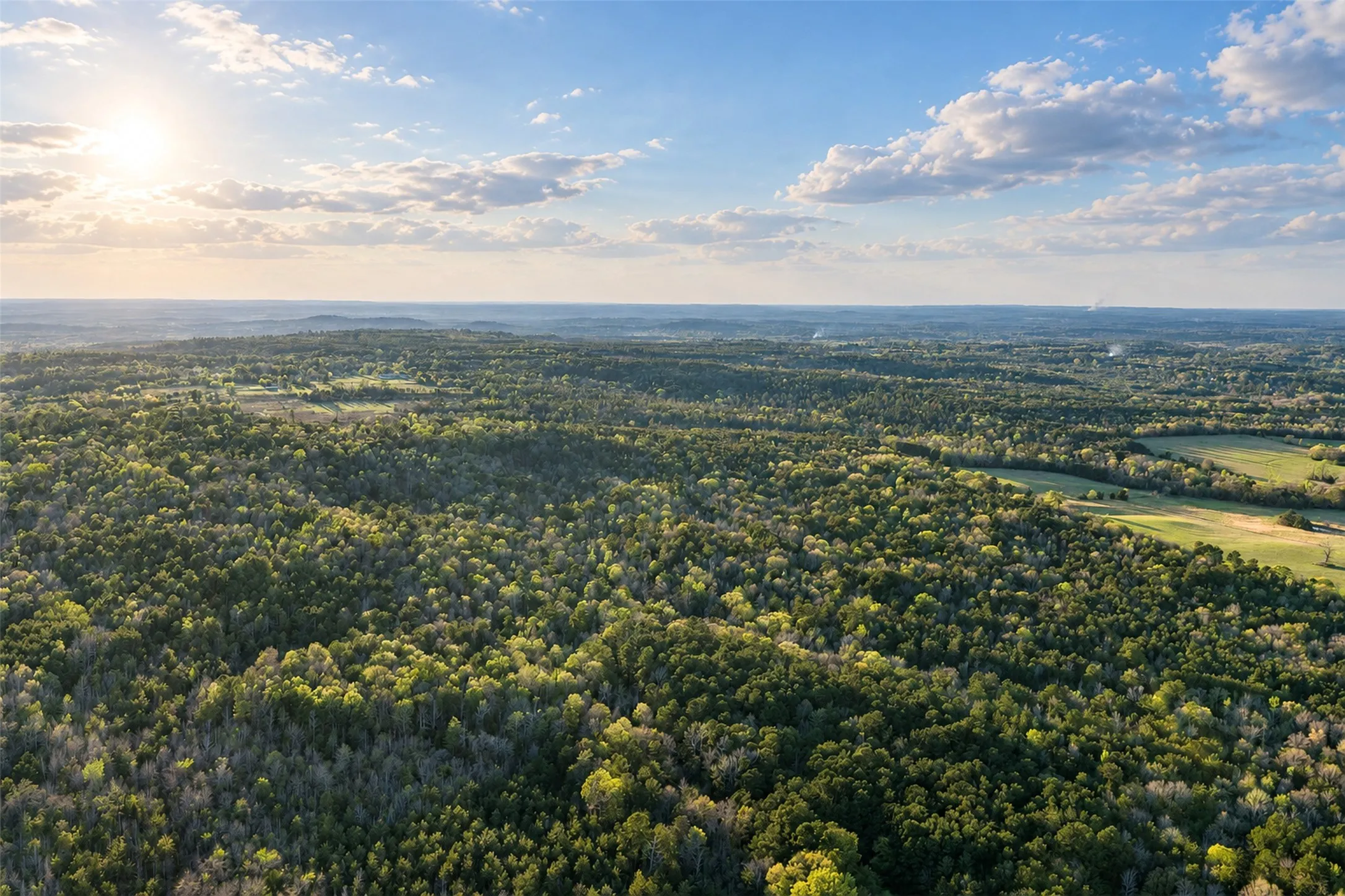Unimproved Land For Sale in Cherokee County , 0 Farm to Market Road 747, Jacksonville, Texas 75766, 0, 0, Garage spaces, 0 Sqft, built in 0, mls#21213336, Real Estate Agent in Jacksonville, Homes For Sale in Cherokee county, Homes For Sale in Jacksonville, Realtor in Jacksonville Texas, Real Estate Brokerage Independent Realty Texas, Luminita Cordes Realtor