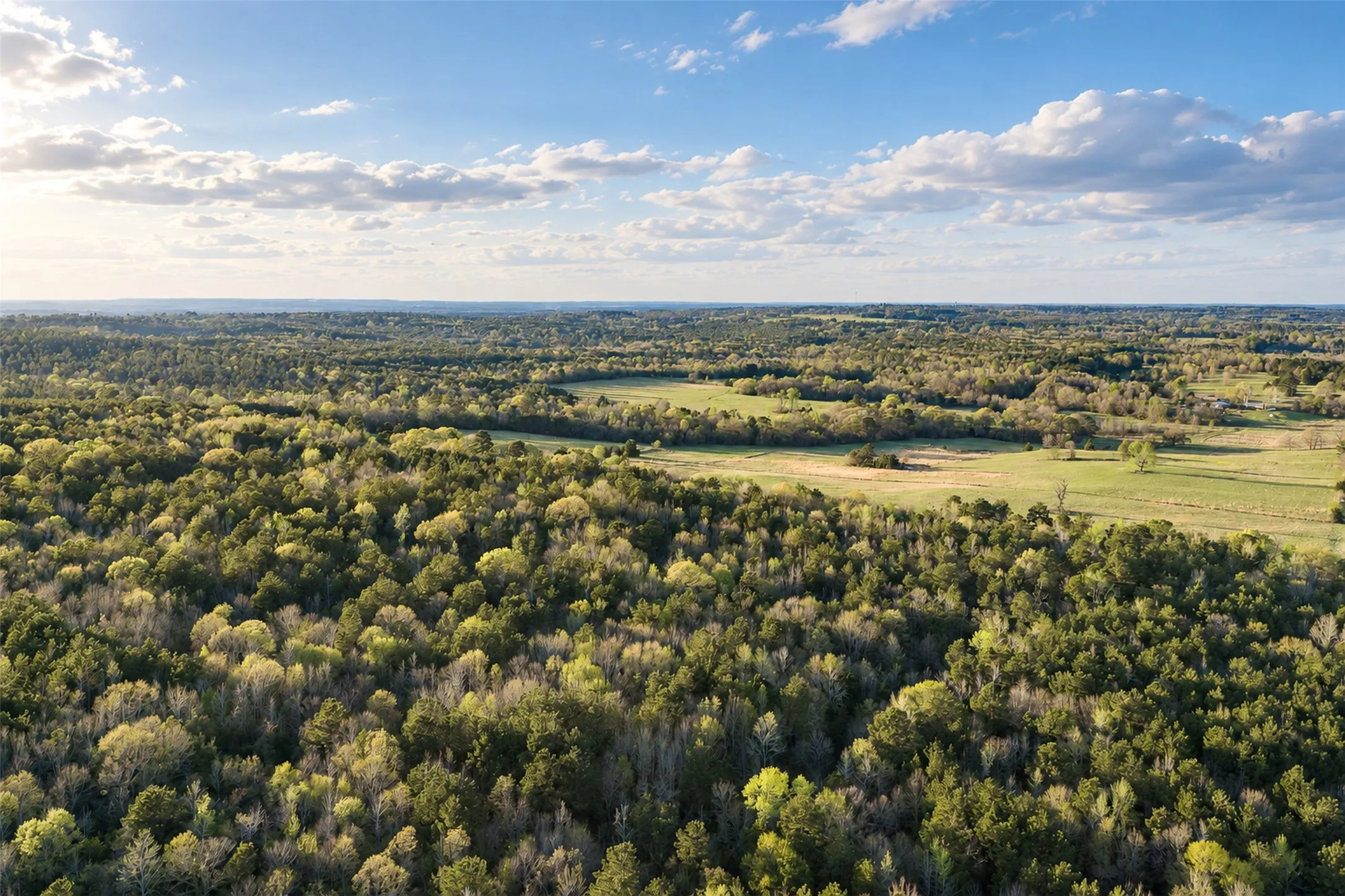Unimproved Land For Sale in Cherokee County , 0 Farm to Market Road 747, Jacksonville, Texas 75766, 0, 0, Garage spaces, 0 Sqft, built in 0, mls#21213336, Real Estate Agent in Jacksonville, Homes For Sale in Cherokee county, Homes For Sale in Jacksonville, Realtor in Jacksonville Texas, Real Estate Brokerage Independent Realty Texas, Luminita Cordes Realtor