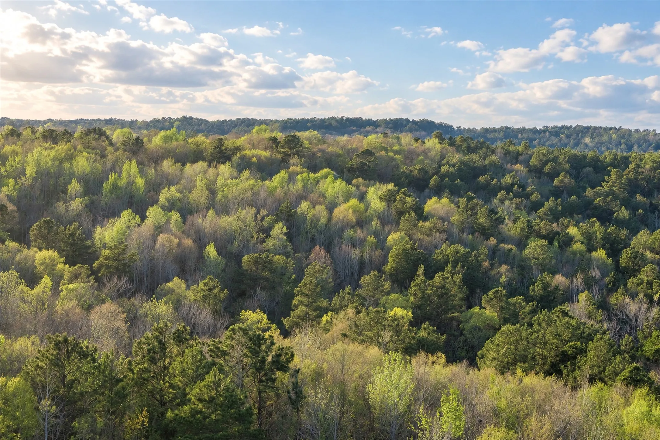 Unimproved Land For Sale in Cherokee County , 0 Farm to Market Road 747, Jacksonville, Texas 75766, 0, 0, Garage spaces, 0 Sqft, built in 0, mls#21213336, Real Estate Agent in Jacksonville, Homes For Sale in Cherokee county, Homes For Sale in Jacksonville, Realtor in Jacksonville Texas, Real Estate Brokerage Independent Realty Texas, Luminita Cordes Realtor