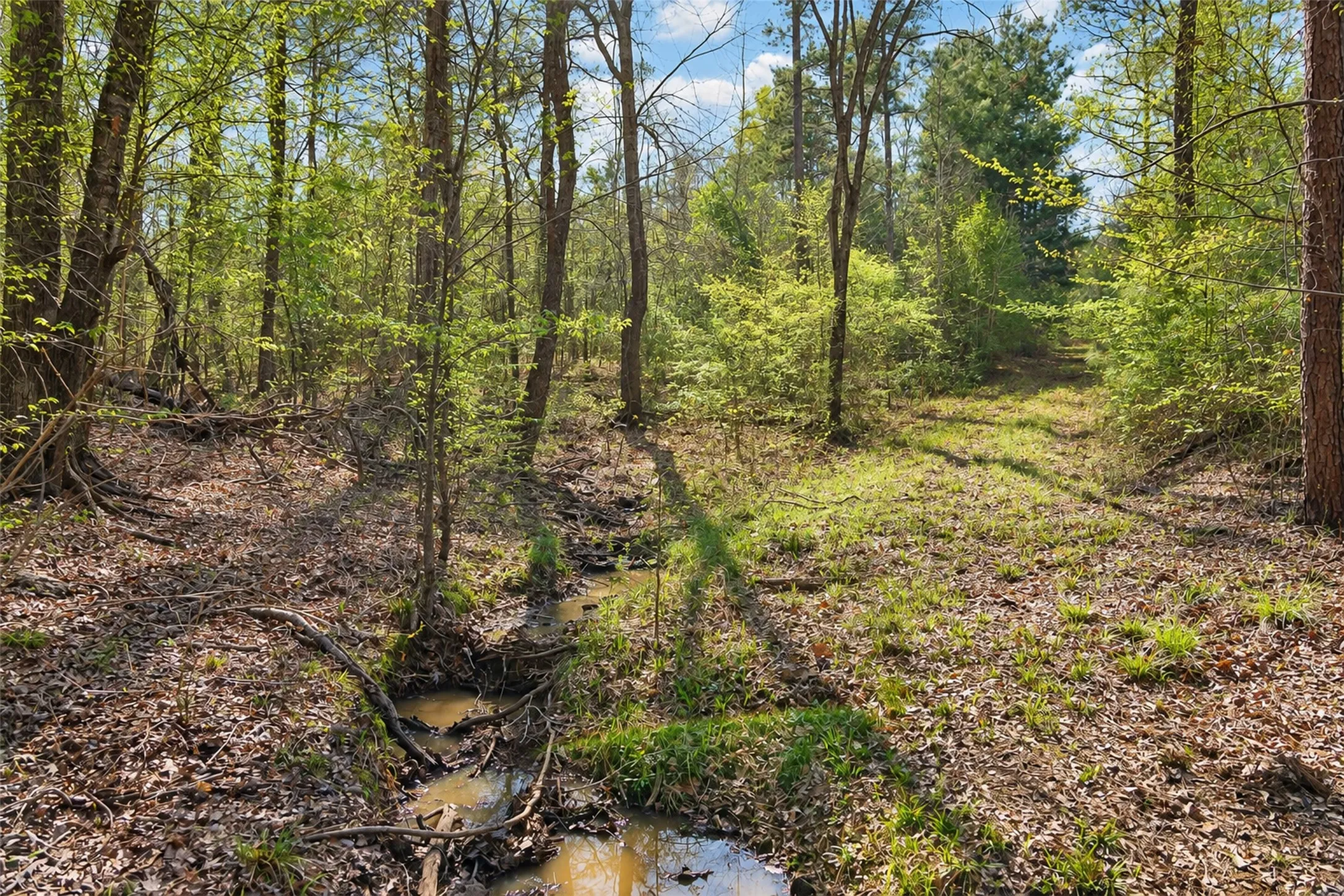 Unimproved Land For Sale in Cherokee County , 0 Farm to Market Road 747, Jacksonville, Texas 75766, 0, 0, Garage spaces, 0 Sqft, built in 0, mls#21213336, Real Estate Agent in Jacksonville, Homes For Sale in Cherokee county, Homes For Sale in Jacksonville, Realtor in Jacksonville Texas, Real Estate Brokerage Independent Realty Texas, Luminita Cordes Realtor