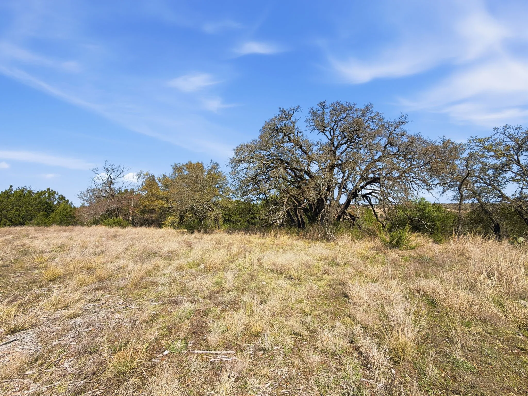 Unimproved Land For Sale in Hamilton County , TBD PR 2901 #19, Hamilton, Texas 76531, 0, 0, Garage spaces, 0 Sqft, built in 0, Price $107,000, mls#21213366, Real Estate Agent in Hamilton, Homes For Sale in Hamilton county, Homes For Sale in Hamilton, Realtor in Hamilton Texas, Real Estate Brokerage Independent Realty Texas, Luminita Cordes Realtor