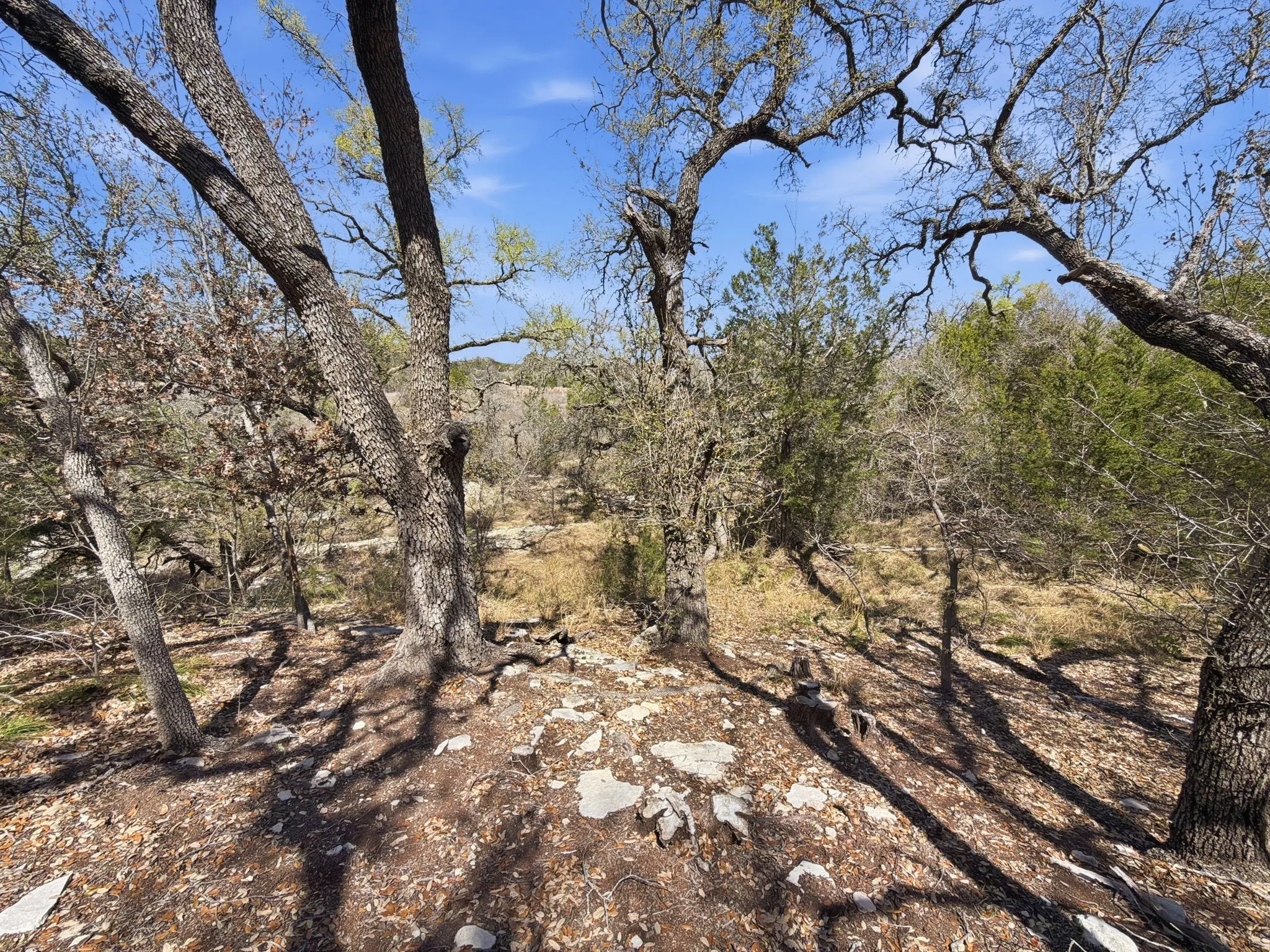 Unimproved Land For Sale in Hamilton County , TBD PR 2901 #19, Hamilton, Texas 76531, 0, 0, Garage spaces, 0 Sqft, built in 0, Price $107,000, mls#21213366, Real Estate Agent in Hamilton, Homes For Sale in Hamilton county, Homes For Sale in Hamilton, Realtor in Hamilton Texas, Real Estate Brokerage Independent Realty Texas, Luminita Cordes Realtor
