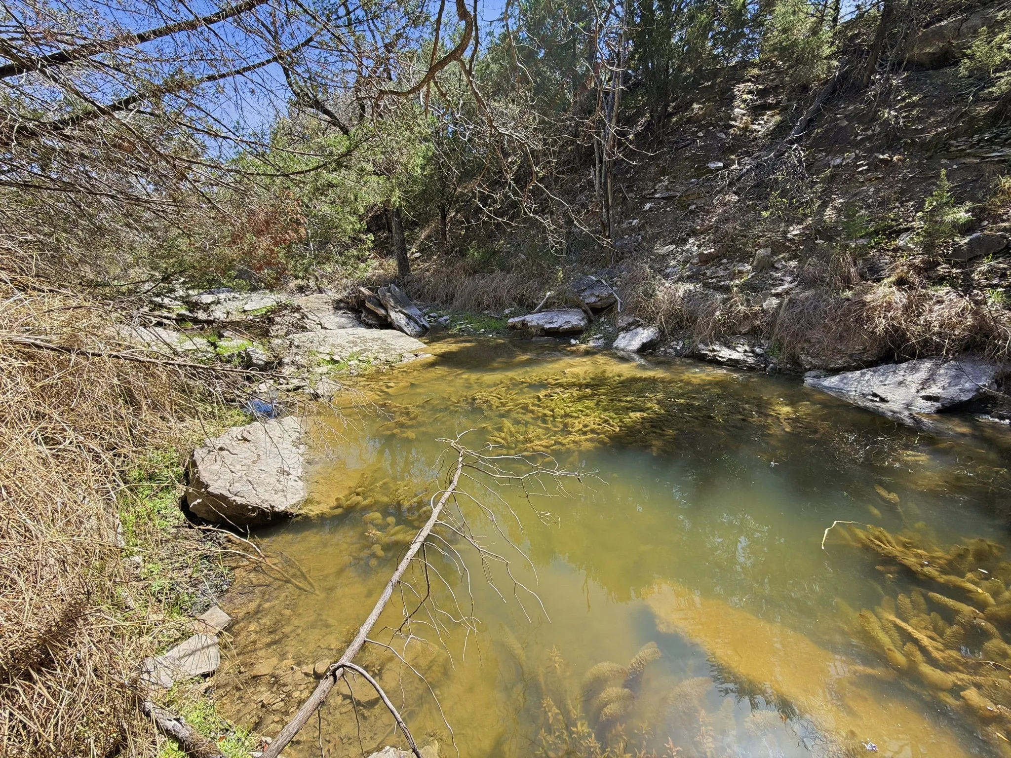 Unimproved Land For Sale in Hamilton County , TBD PR 2901 #19, Hamilton, Texas 76531, 0, 0, Garage spaces, 0 Sqft, built in 0, Price $107,000, mls#21213366, Real Estate Agent in Hamilton, Homes For Sale in Hamilton county, Homes For Sale in Hamilton, Realtor in Hamilton Texas, Real Estate Brokerage Independent Realty Texas, Luminita Cordes Realtor