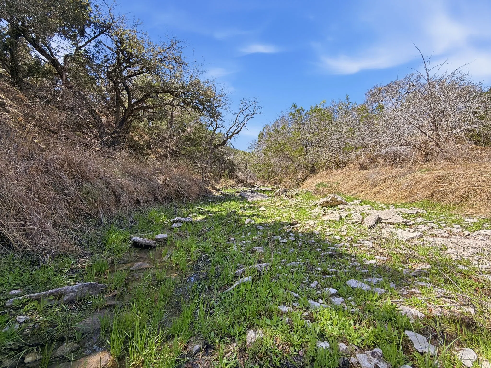 Unimproved Land For Sale in Hamilton County , TBD PR 2901 #19, Hamilton, Texas 76531, 0, 0, Garage spaces, 0 Sqft, built in 0, Price $107,000, mls#21213366, Real Estate Agent in Hamilton, Homes For Sale in Hamilton county, Homes For Sale in Hamilton, Realtor in Hamilton Texas, Real Estate Brokerage Independent Realty Texas, Luminita Cordes Realtor