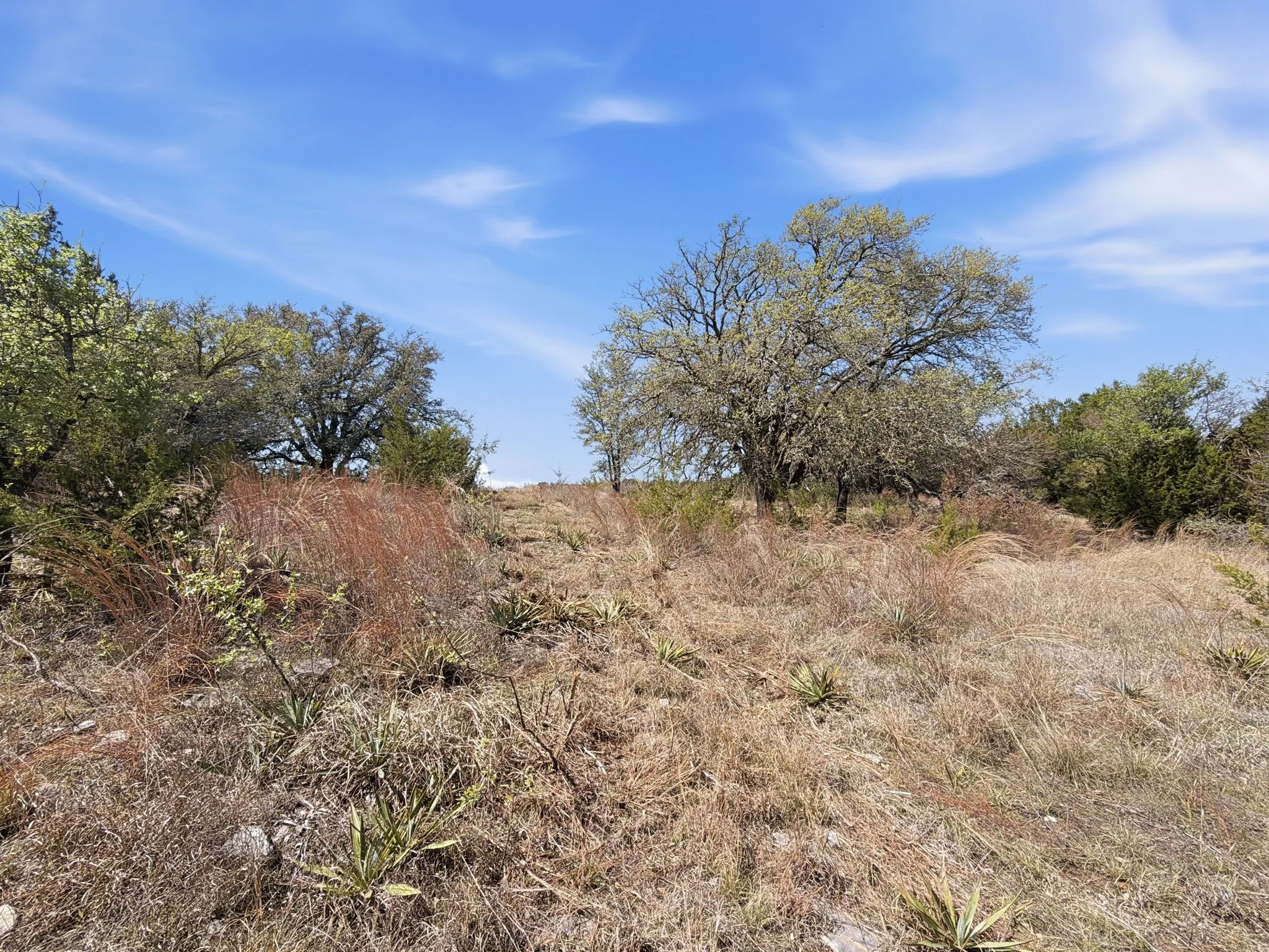 Unimproved Land For Sale in Hamilton County , TBD PR 2901 #19, Hamilton, Texas 76531, 0, 0, Garage spaces, 0 Sqft, built in 0, Price $107,000, mls#21213366, Real Estate Agent in Hamilton, Homes For Sale in Hamilton county, Homes For Sale in Hamilton, Realtor in Hamilton Texas, Real Estate Brokerage Independent Realty Texas, Luminita Cordes Realtor