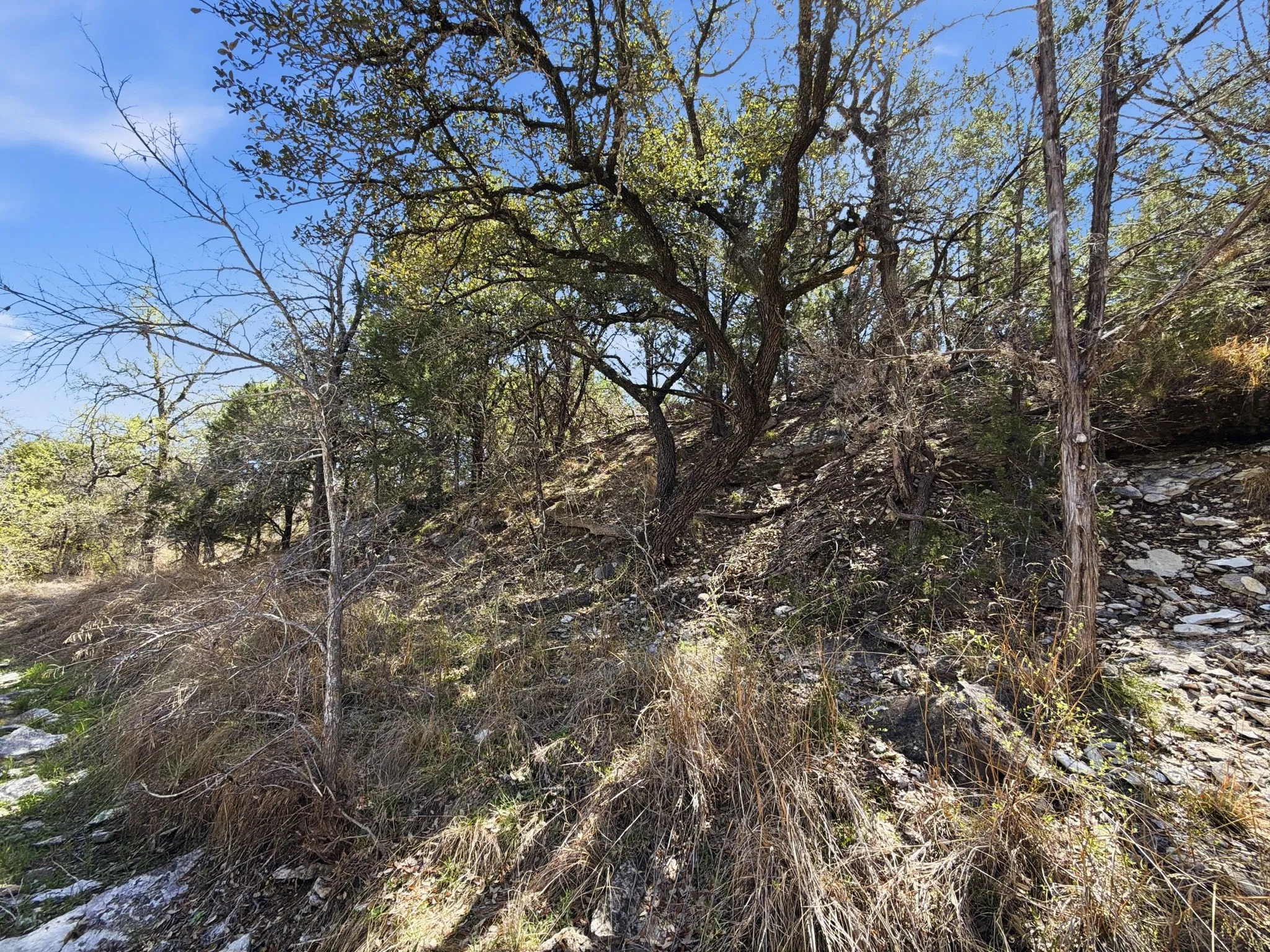 Unimproved Land For Sale in Hamilton County , TBD PR 2901 #19, Hamilton, Texas 76531, 0, 0, Garage spaces, 0 Sqft, built in 0, Price $107,000, mls#21213366, Real Estate Agent in Hamilton, Homes For Sale in Hamilton county, Homes For Sale in Hamilton, Realtor in Hamilton Texas, Real Estate Brokerage Independent Realty Texas, Luminita Cordes Realtor