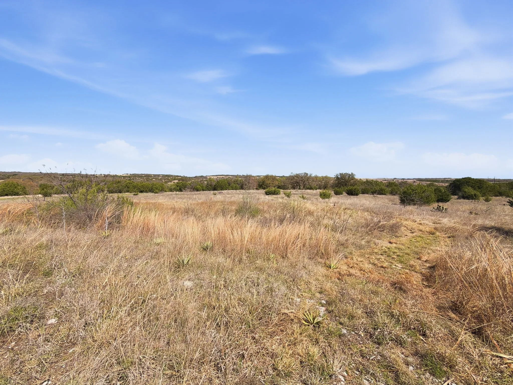 Unimproved Land For Sale in Hamilton County , TBD PR 2901 #19, Hamilton, Texas 76531, 0, 0, Garage spaces, 0 Sqft, built in 0, Price $107,000, mls#21213366, Real Estate Agent in Hamilton, Homes For Sale in Hamilton county, Homes For Sale in Hamilton, Realtor in Hamilton Texas, Real Estate Brokerage Independent Realty Texas, Luminita Cordes Realtor