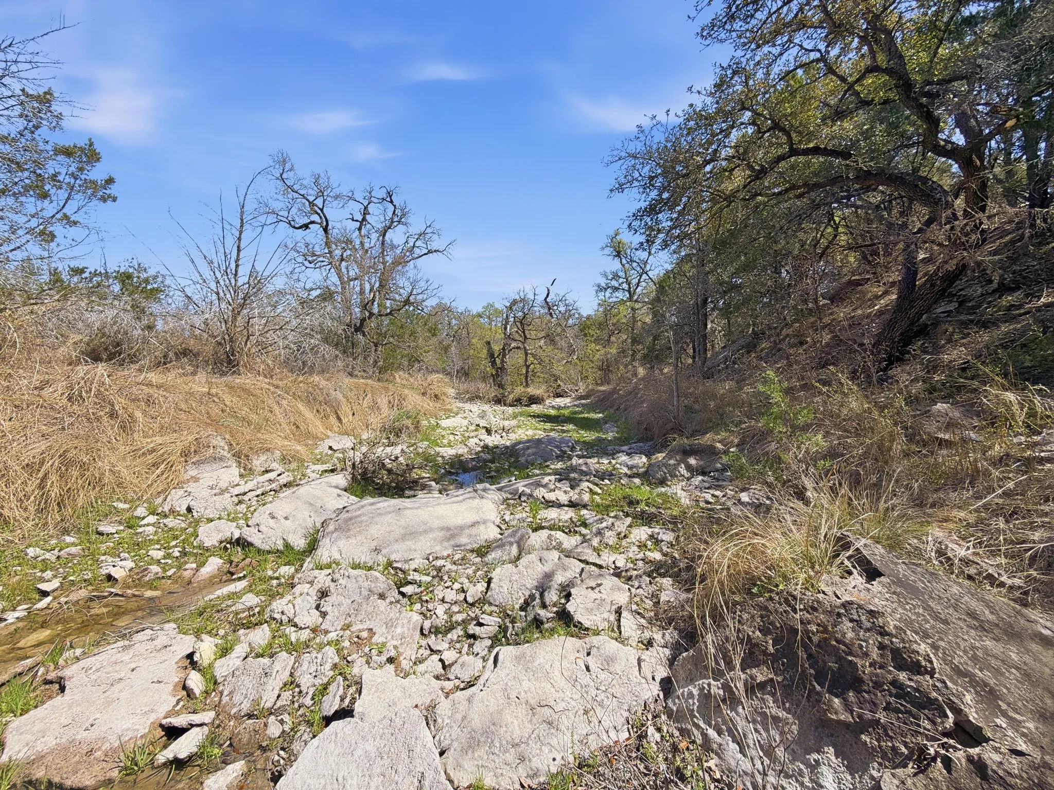 Unimproved Land For Sale in Hamilton County , TBD PR 2901 #19, Hamilton, Texas 76531, 0, 0, Garage spaces, 0 Sqft, built in 0, Price $107,000, mls#21213366, Real Estate Agent in Hamilton, Homes For Sale in Hamilton county, Homes For Sale in Hamilton, Realtor in Hamilton Texas, Real Estate Brokerage Independent Realty Texas, Luminita Cordes Realtor