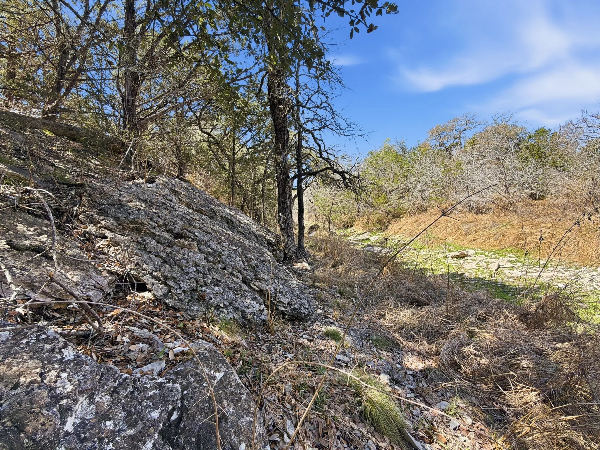 Unimproved Land For Sale in Hamilton County , TBD PR 2901 #19, Hamilton, Texas 76531, 0, 0, Garage spaces, 0 Sqft, built in 0, Price $107,000, mls#21213366, Real Estate Agent in Hamilton, Homes For Sale in Hamilton county, Homes For Sale in Hamilton, Realtor in Hamilton Texas, Real Estate Brokerage Independent Realty Texas, Luminita Cordes Realtor