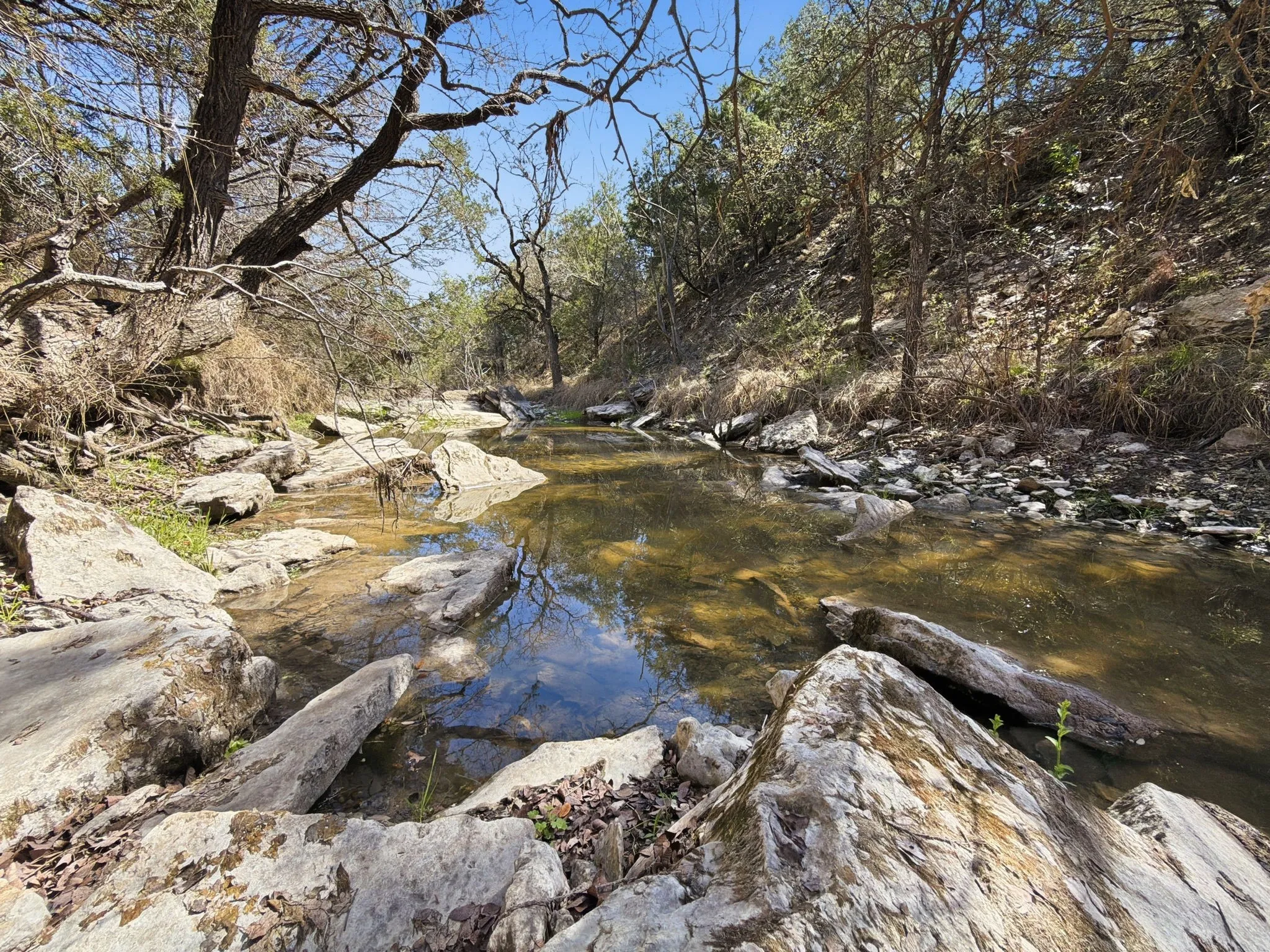 Unimproved Land For Sale in Hamilton County , TBD PR 2901 #19, Hamilton, Texas 76531, 0, 0, Garage spaces, 0 Sqft, built in 0, Price $107,000, mls#21213366, Real Estate Agent in Hamilton, Homes For Sale in Hamilton county, Homes For Sale in Hamilton, Realtor in Hamilton Texas, Real Estate Brokerage Independent Realty Texas, Luminita Cordes Realtor