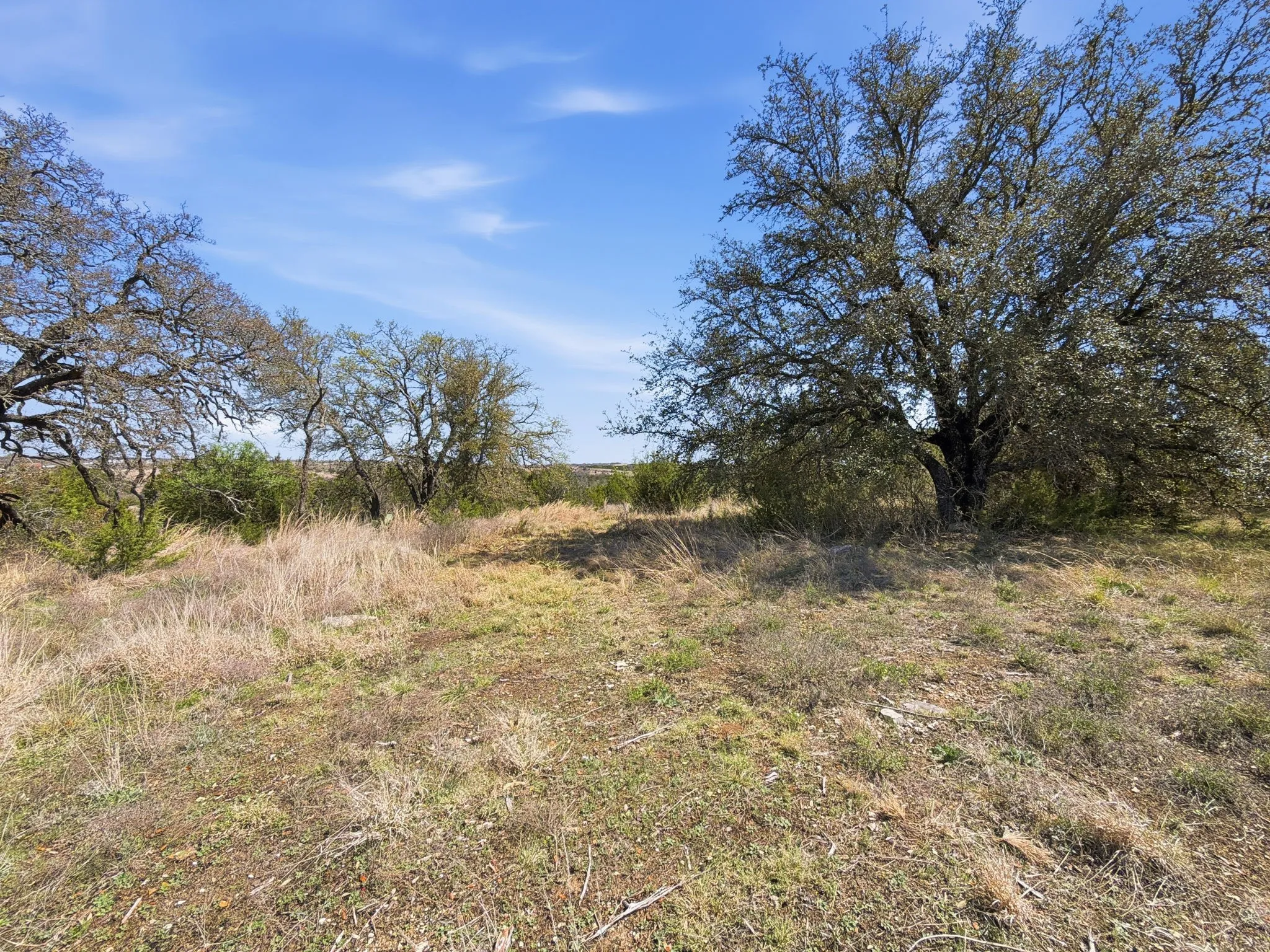 Unimproved Land For Sale in Hamilton County , TBD PR 2901 #19, Hamilton, Texas 76531, 0, 0, Garage spaces, 0 Sqft, built in 0, Price $107,000, mls#21213366, Real Estate Agent in Hamilton, Homes For Sale in Hamilton county, Homes For Sale in Hamilton, Realtor in Hamilton Texas, Real Estate Brokerage Independent Realty Texas, Luminita Cordes Realtor