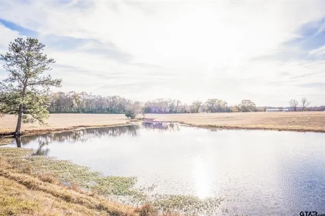 Improved Land For Sale in Cherokee County , 3250 FM 22, Jacksonville, Texas 75766, 0, 0, Garage spaces, 0 Sqft, built in 0, mls#21213445, Real Estate Agent in Jacksonville, Homes For Sale in Cherokee county, Homes For Sale in Jacksonville, Realtor in Jacksonville Texas, Real Estate Brokerage Independent Realty Texas, Luminita Cordes Realtor
