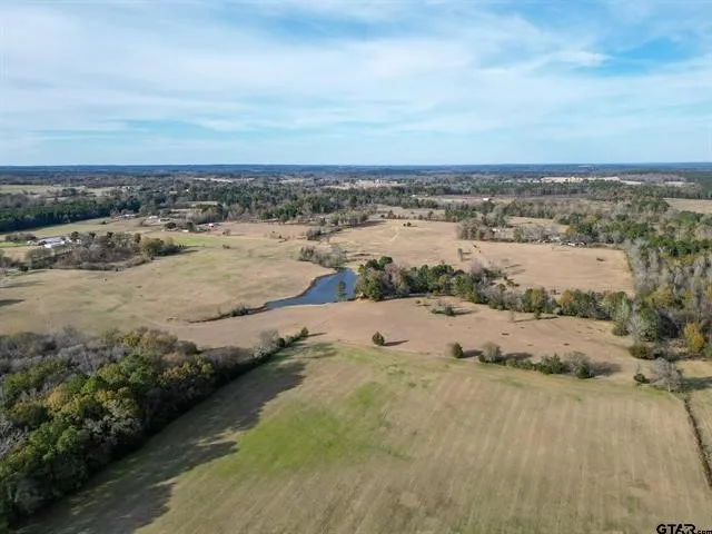 Improved Land For Sale in Cherokee County , 3250 FM 22, Jacksonville, Texas 75766, 0, 0, Garage spaces, 0 Sqft, built in 0, mls#21213445, Real Estate Agent in Jacksonville, Homes For Sale in Cherokee county, Homes For Sale in Jacksonville, Realtor in Jacksonville Texas, Real Estate Brokerage Independent Realty Texas, Luminita Cordes Realtor