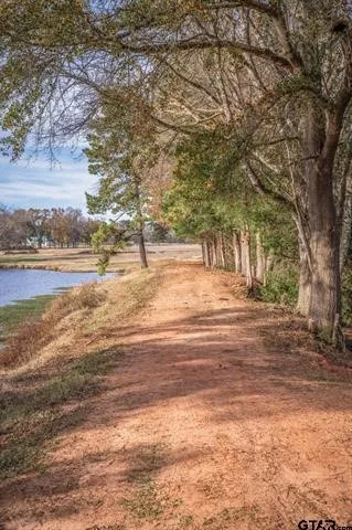 Improved Land For Sale in Cherokee County , 3250 FM 22, Jacksonville, Texas 75766, 0, 0, Garage spaces, 0 Sqft, built in 0, mls#21213445, Real Estate Agent in Jacksonville, Homes For Sale in Cherokee county, Homes For Sale in Jacksonville, Realtor in Jacksonville Texas, Real Estate Brokerage Independent Realty Texas, Luminita Cordes Realtor
