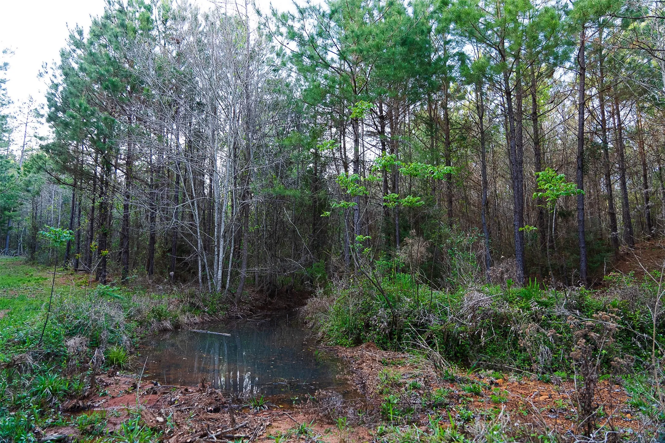 Unimproved Land For Sale in Nacogdoches County , 0 Off of County Road 839, Nacogdoches, Texas 75964, 0, 0, Garage spaces, 0 Sqft, built in 0, mls#21213477, Real Estate Agent in Nacogdoches, Homes For Sale in Nacogdoches county, Homes For Sale in Nacogdoches, Realtor in Nacogdoches Texas, Real Estate Brokerage Independent Realty Texas, Luminita Cordes Realtor