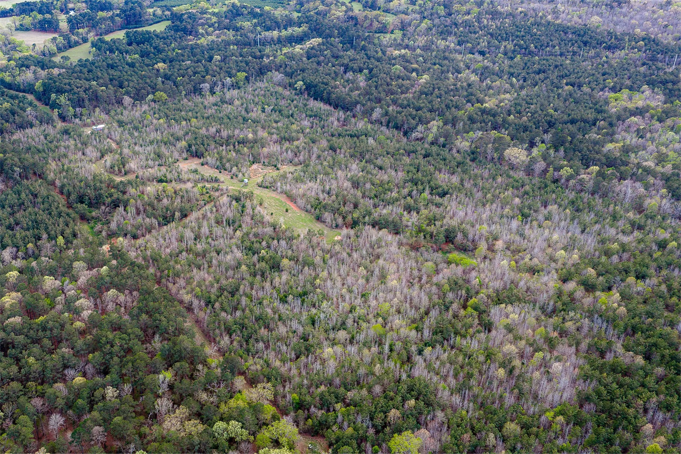 Unimproved Land For Sale in Nacogdoches County , 0 Off of County Road 839, Nacogdoches, Texas 75964, 0, 0, Garage spaces, 0 Sqft, built in 0, mls#21213477, Real Estate Agent in Nacogdoches, Homes For Sale in Nacogdoches county, Homes For Sale in Nacogdoches, Realtor in Nacogdoches Texas, Real Estate Brokerage Independent Realty Texas, Luminita Cordes Realtor