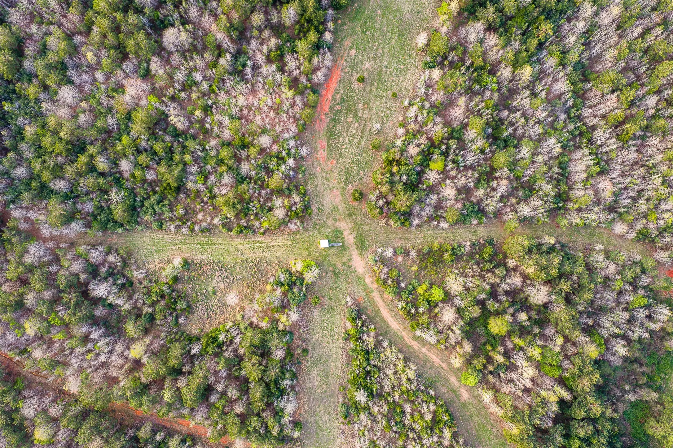 Unimproved Land For Sale in Nacogdoches County , 0 Off of County Road 839, Nacogdoches, Texas 75964, 0, 0, Garage spaces, 0 Sqft, built in 0, mls#21213477, Real Estate Agent in Nacogdoches, Homes For Sale in Nacogdoches county, Homes For Sale in Nacogdoches, Realtor in Nacogdoches Texas, Real Estate Brokerage Independent Realty Texas, Luminita Cordes Realtor