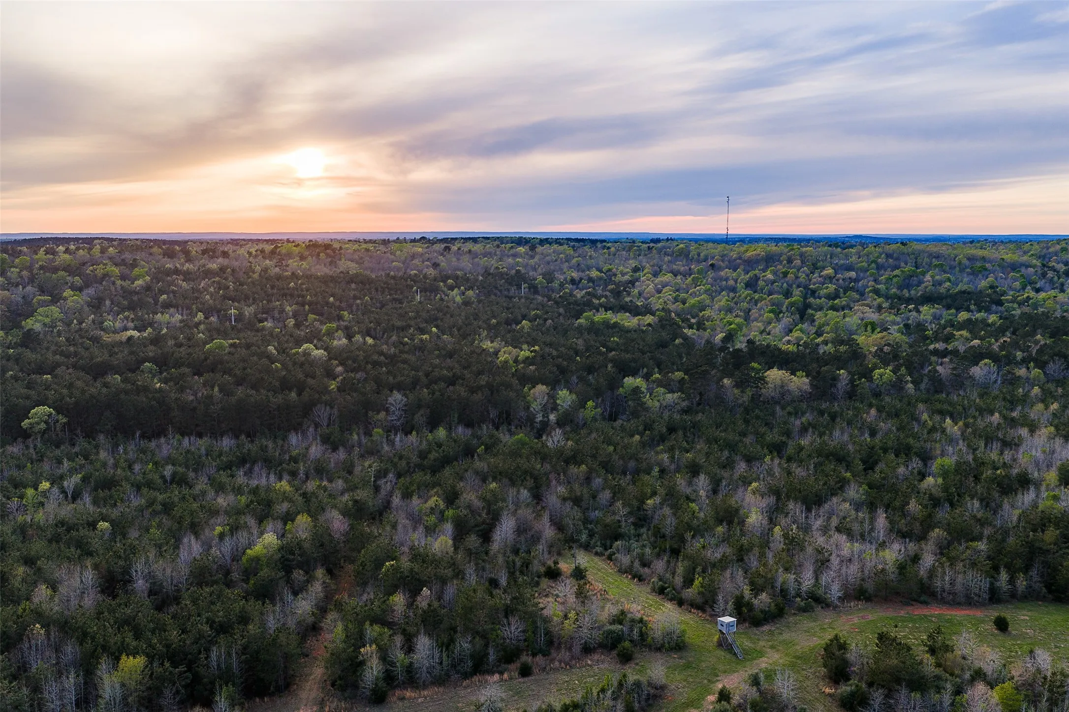 Unimproved Land For Sale in Nacogdoches County , 0 Off of County Road 839, Nacogdoches, Texas 75964, 0, 0, Garage spaces, 0 Sqft, built in 0, mls#21213477, Real Estate Agent in Nacogdoches, Homes For Sale in Nacogdoches county, Homes For Sale in Nacogdoches, Realtor in Nacogdoches Texas, Real Estate Brokerage Independent Realty Texas, Luminita Cordes Realtor