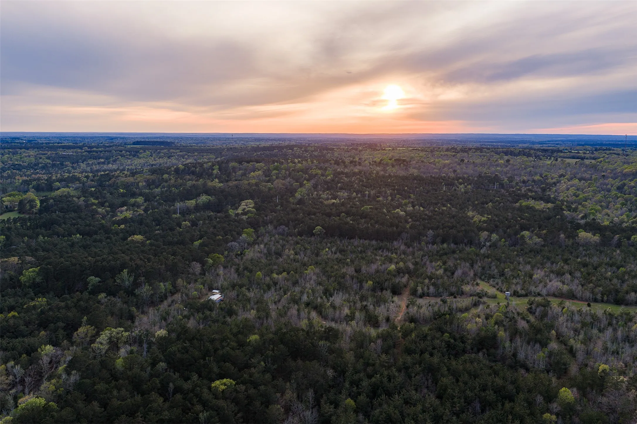 Unimproved Land For Sale in Nacogdoches County , 0 Off of County Road 839, Nacogdoches, Texas 75964, 0, 0, Garage spaces, 0 Sqft, built in 0, mls#21213477, Real Estate Agent in Nacogdoches, Homes For Sale in Nacogdoches county, Homes For Sale in Nacogdoches, Realtor in Nacogdoches Texas, Real Estate Brokerage Independent Realty Texas, Luminita Cordes Realtor