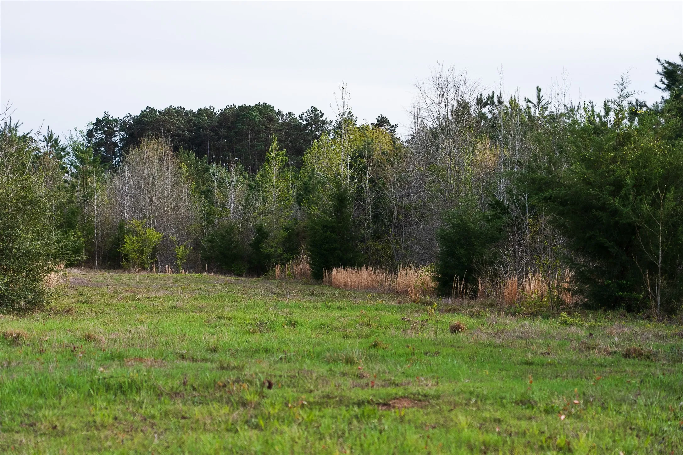 Unimproved Land For Sale in Nacogdoches County , 0 Off of County Road 839, Nacogdoches, Texas 75964, 0, 0, Garage spaces, 0 Sqft, built in 0, mls#21213477, Real Estate Agent in Nacogdoches, Homes For Sale in Nacogdoches county, Homes For Sale in Nacogdoches, Realtor in Nacogdoches Texas, Real Estate Brokerage Independent Realty Texas, Luminita Cordes Realtor