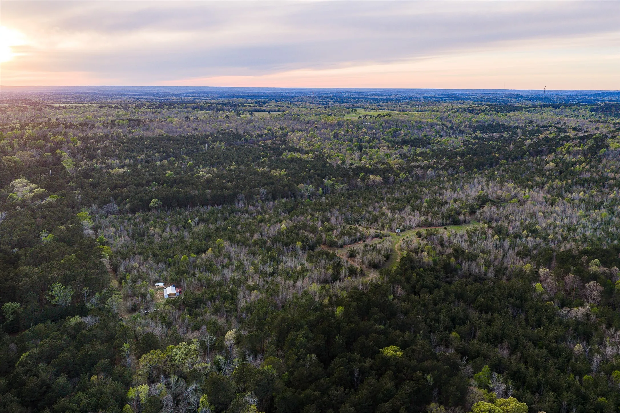Unimproved Land For Sale in Nacogdoches County , 0 Off of County Road 839, Nacogdoches, Texas 75964, 0, 0, Garage spaces, 0 Sqft, built in 0, mls#21213477, Real Estate Agent in Nacogdoches, Homes For Sale in Nacogdoches county, Homes For Sale in Nacogdoches, Realtor in Nacogdoches Texas, Real Estate Brokerage Independent Realty Texas, Luminita Cordes Realtor