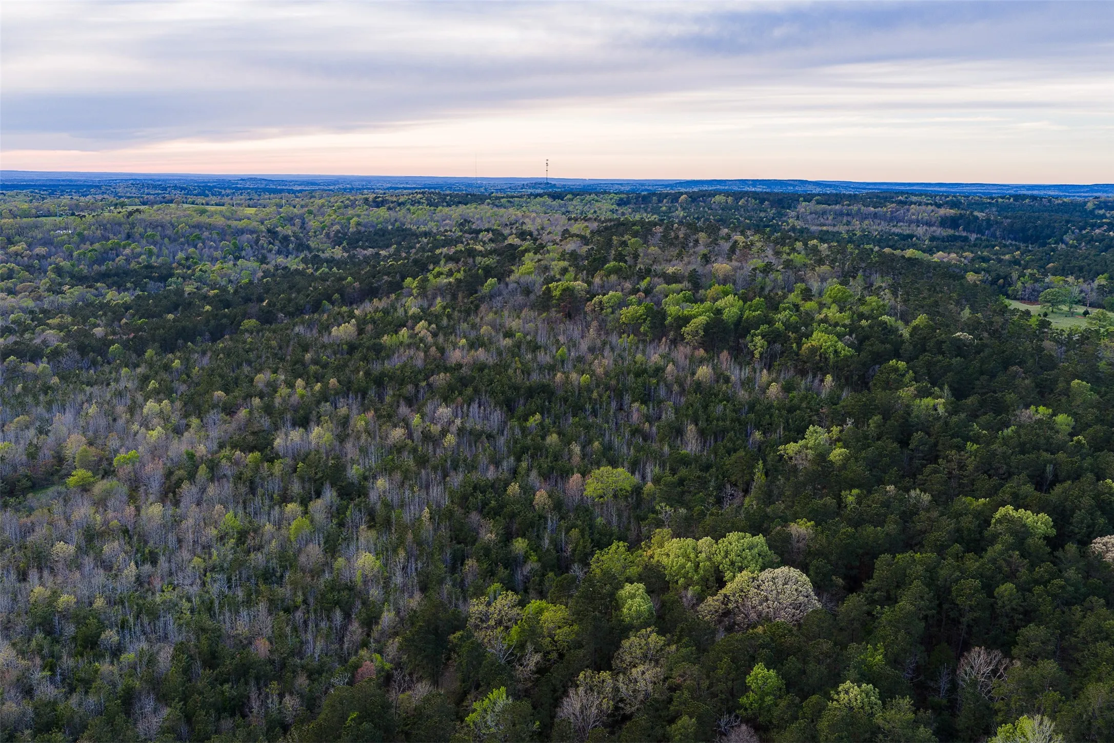 Unimproved Land For Sale in Nacogdoches County , 0 Off of County Road 839, Nacogdoches, Texas 75964, 0, 0, Garage spaces, 0 Sqft, built in 0, mls#21213477, Real Estate Agent in Nacogdoches, Homes For Sale in Nacogdoches county, Homes For Sale in Nacogdoches, Realtor in Nacogdoches Texas, Real Estate Brokerage Independent Realty Texas, Luminita Cordes Realtor