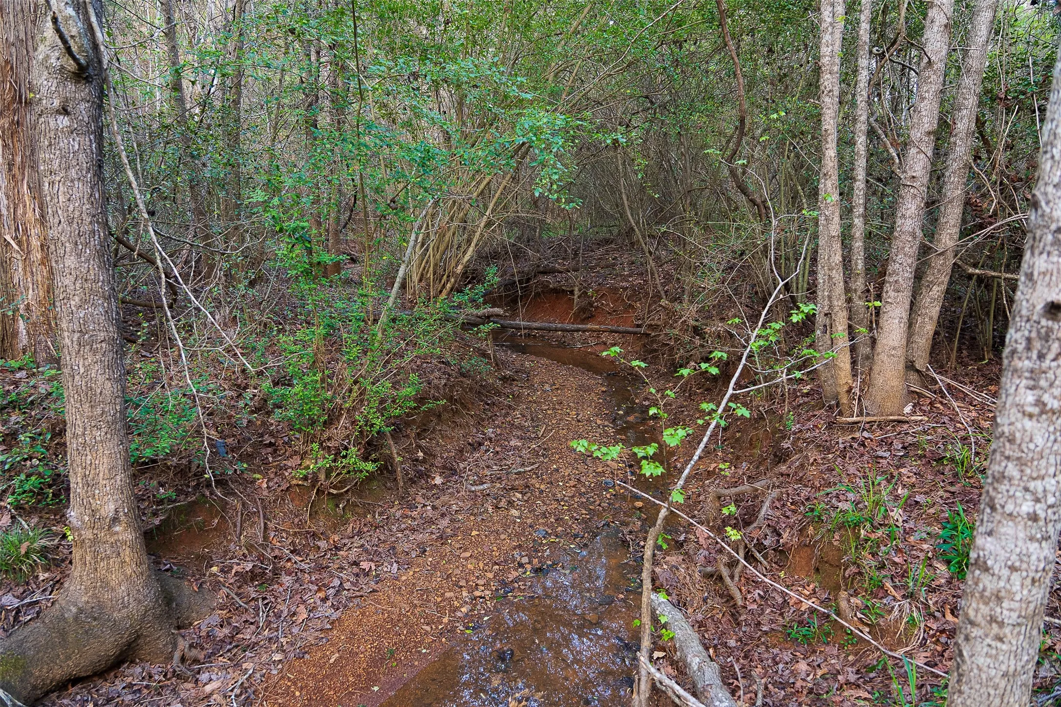 Unimproved Land For Sale in Nacogdoches County , 0 Off of County Road 839, Nacogdoches, Texas 75964, 0, 0, Garage spaces, 0 Sqft, built in 0, mls#21213477, Real Estate Agent in Nacogdoches, Homes For Sale in Nacogdoches county, Homes For Sale in Nacogdoches, Realtor in Nacogdoches Texas, Real Estate Brokerage Independent Realty Texas, Luminita Cordes Realtor
