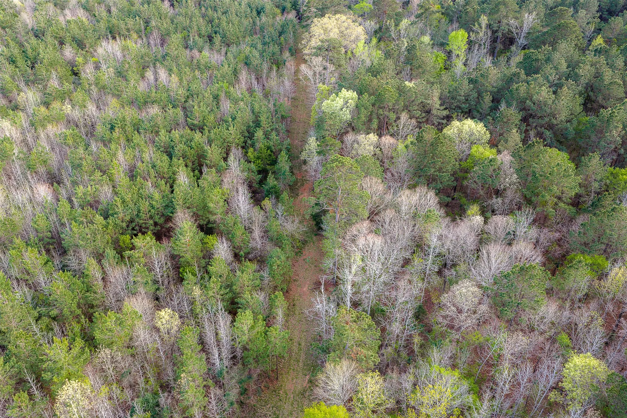 Unimproved Land For Sale in Nacogdoches County , 0 Off of County Road 839, Nacogdoches, Texas 75964, 0, 0, Garage spaces, 0 Sqft, built in 0, mls#21213477, Real Estate Agent in Nacogdoches, Homes For Sale in Nacogdoches county, Homes For Sale in Nacogdoches, Realtor in Nacogdoches Texas, Real Estate Brokerage Independent Realty Texas, Luminita Cordes Realtor