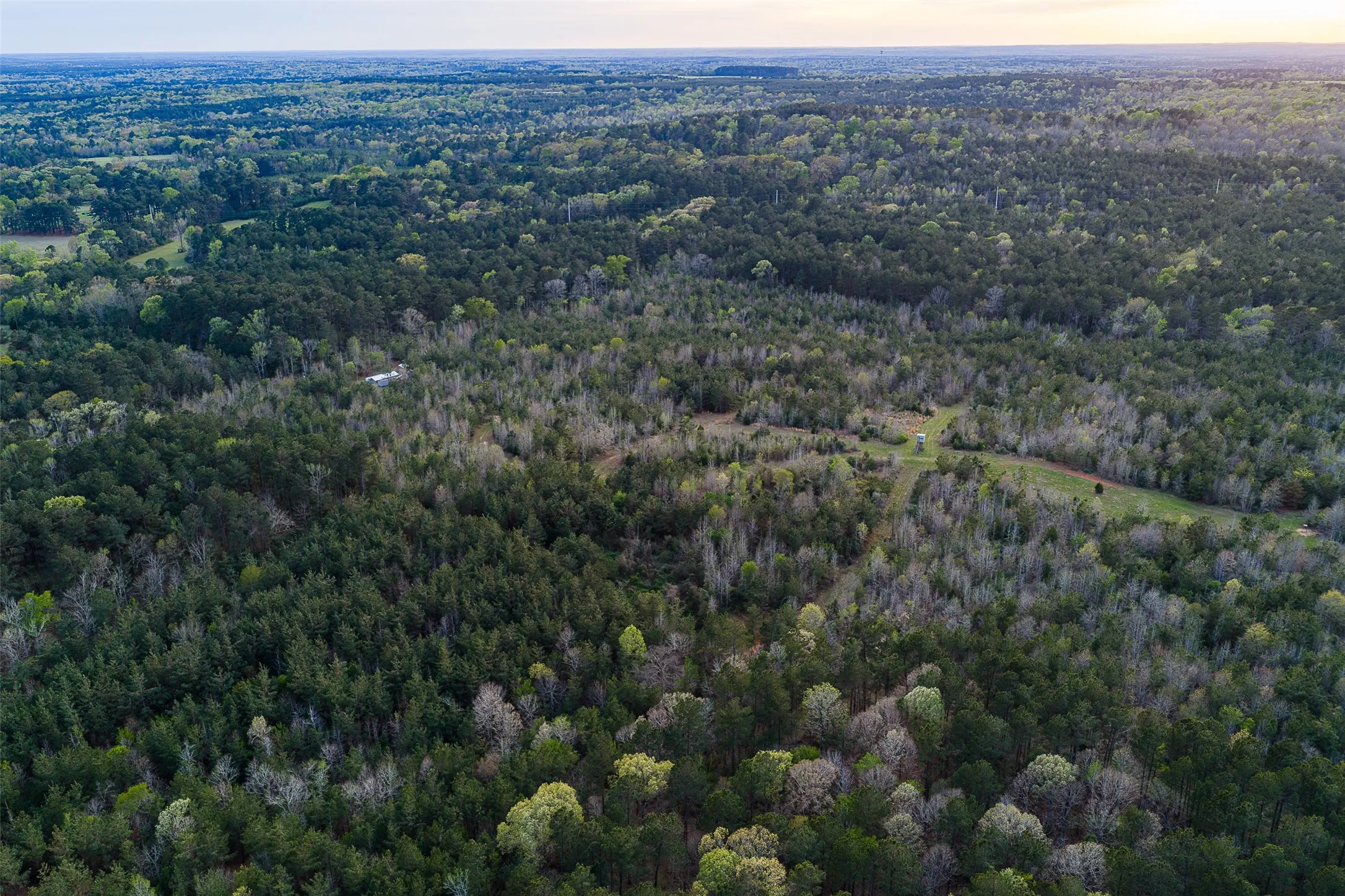 Unimproved Land For Sale in Nacogdoches County , 0 Off of County Road 839, Nacogdoches, Texas 75964, 0, 0, Garage spaces, 0 Sqft, built in 0, mls#21213477, Real Estate Agent in Nacogdoches, Homes For Sale in Nacogdoches county, Homes For Sale in Nacogdoches, Realtor in Nacogdoches Texas, Real Estate Brokerage Independent Realty Texas, Luminita Cordes Realtor