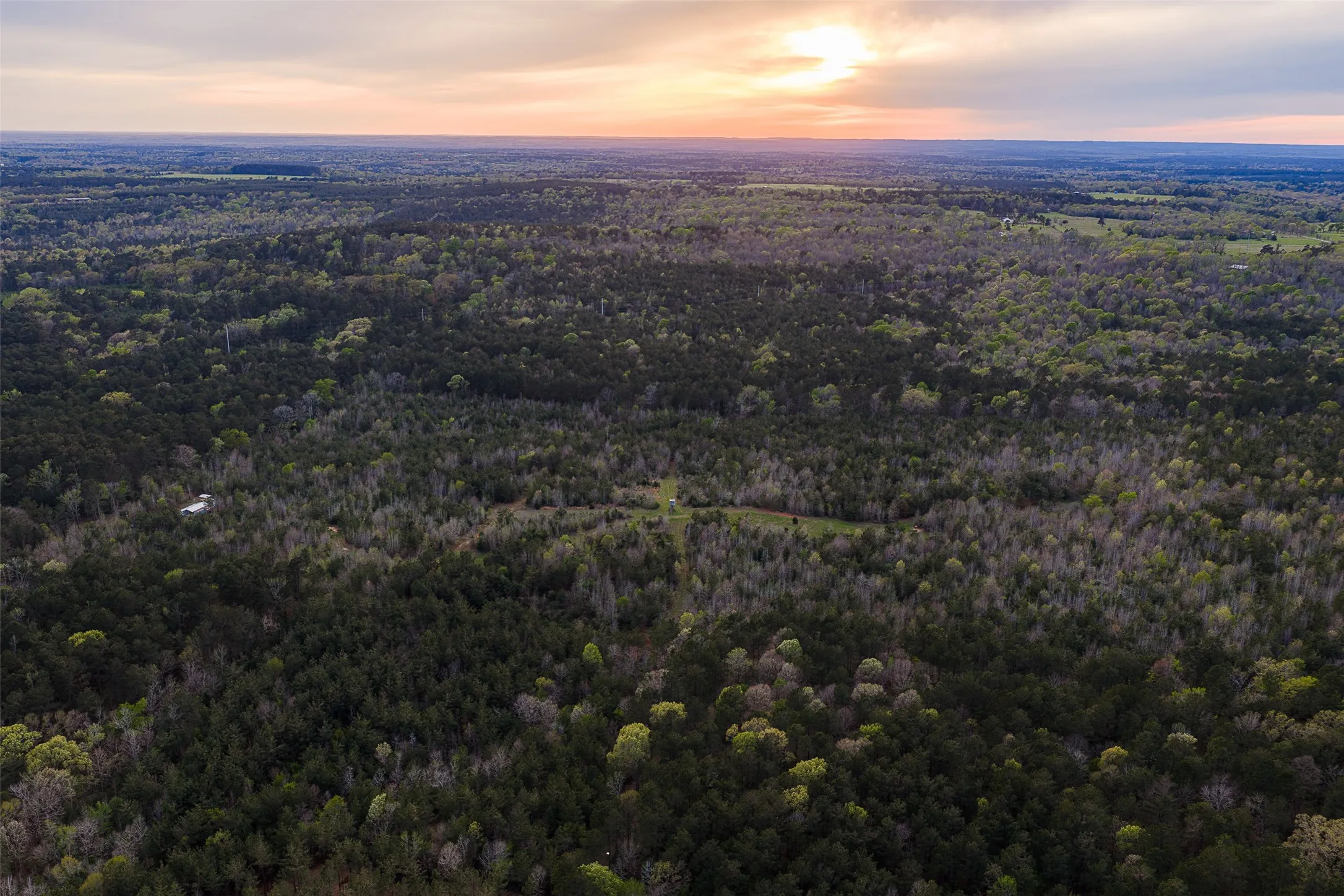 Unimproved Land For Sale in Nacogdoches County , 0 Off of County Road 839, Nacogdoches, Texas 75964, 0, 0, Garage spaces, 0 Sqft, built in 0, mls#21213477, Real Estate Agent in Nacogdoches, Homes For Sale in Nacogdoches county, Homes For Sale in Nacogdoches, Realtor in Nacogdoches Texas, Real Estate Brokerage Independent Realty Texas, Luminita Cordes Realtor