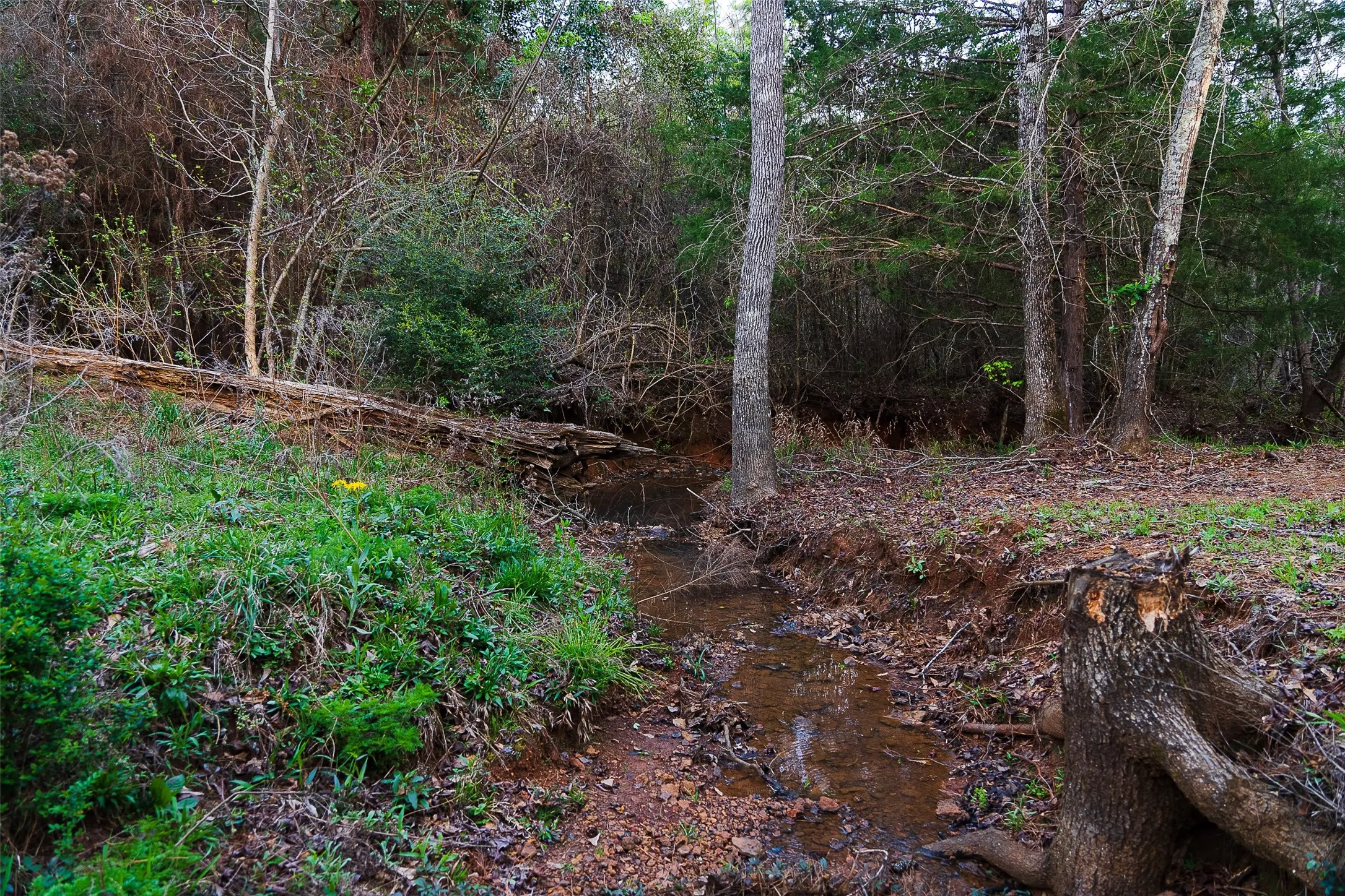 Unimproved Land For Sale in Nacogdoches County , 0 Off of County Road 839, Nacogdoches, Texas 75964, 0, 0, Garage spaces, 0 Sqft, built in 0, mls#21213477, Real Estate Agent in Nacogdoches, Homes For Sale in Nacogdoches county, Homes For Sale in Nacogdoches, Realtor in Nacogdoches Texas, Real Estate Brokerage Independent Realty Texas, Luminita Cordes Realtor