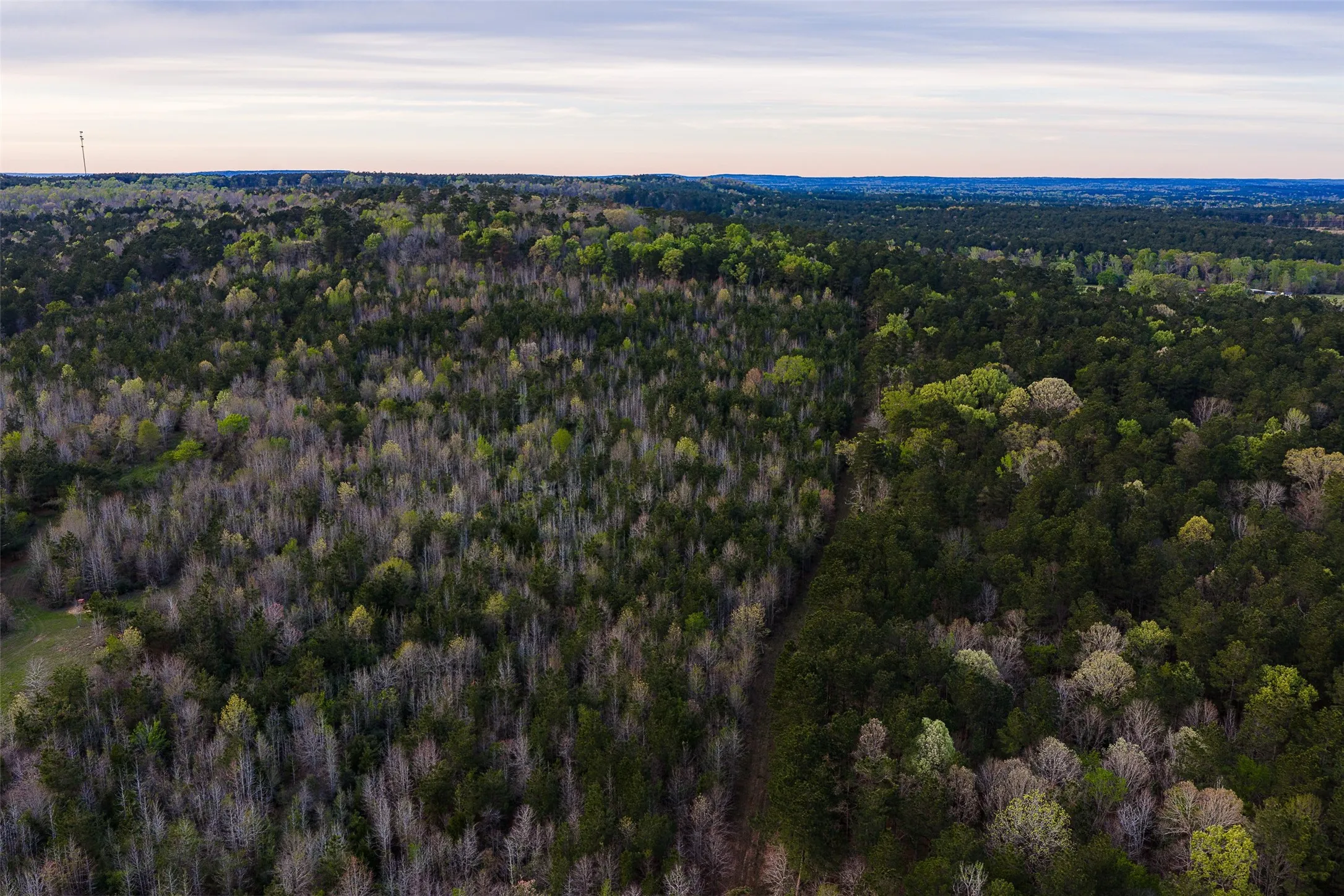 Unimproved Land For Sale in Nacogdoches County , 0 Off of County Road 839, Nacogdoches, Texas 75964, 0, 0, Garage spaces, 0 Sqft, built in 0, mls#21213477, Real Estate Agent in Nacogdoches, Homes For Sale in Nacogdoches county, Homes For Sale in Nacogdoches, Realtor in Nacogdoches Texas, Real Estate Brokerage Independent Realty Texas, Luminita Cordes Realtor