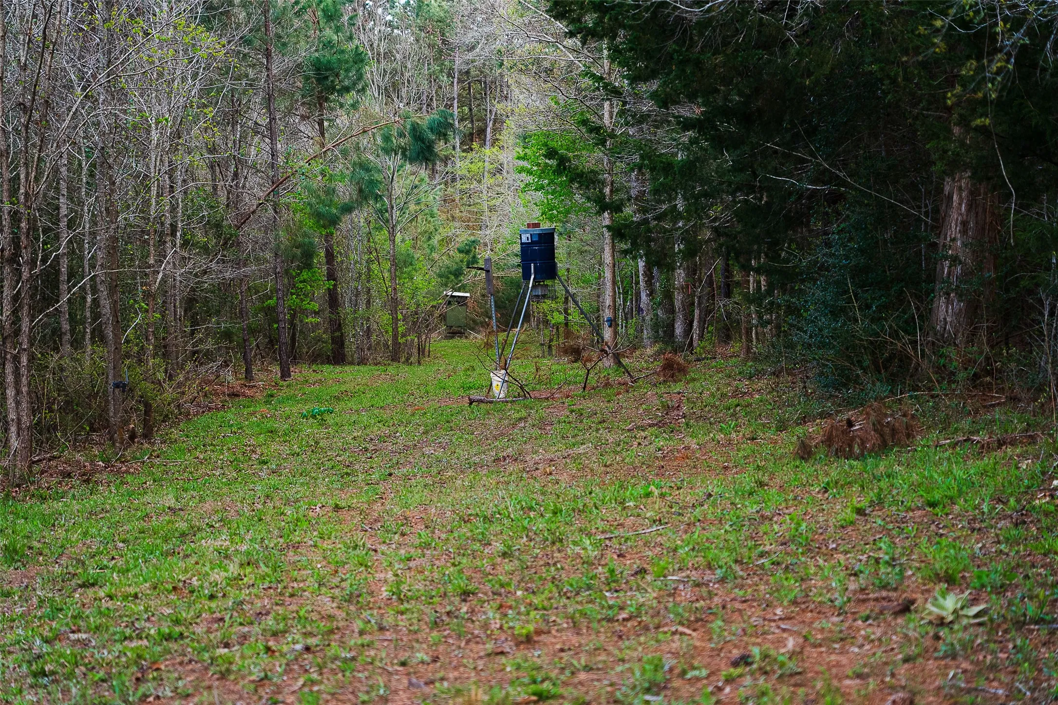 Unimproved Land For Sale in Nacogdoches County , 0 Off of County Road 839, Nacogdoches, Texas 75964, 0, 0, Garage spaces, 0 Sqft, built in 0, mls#21213477, Real Estate Agent in Nacogdoches, Homes For Sale in Nacogdoches county, Homes For Sale in Nacogdoches, Realtor in Nacogdoches Texas, Real Estate Brokerage Independent Realty Texas, Luminita Cordes Realtor
