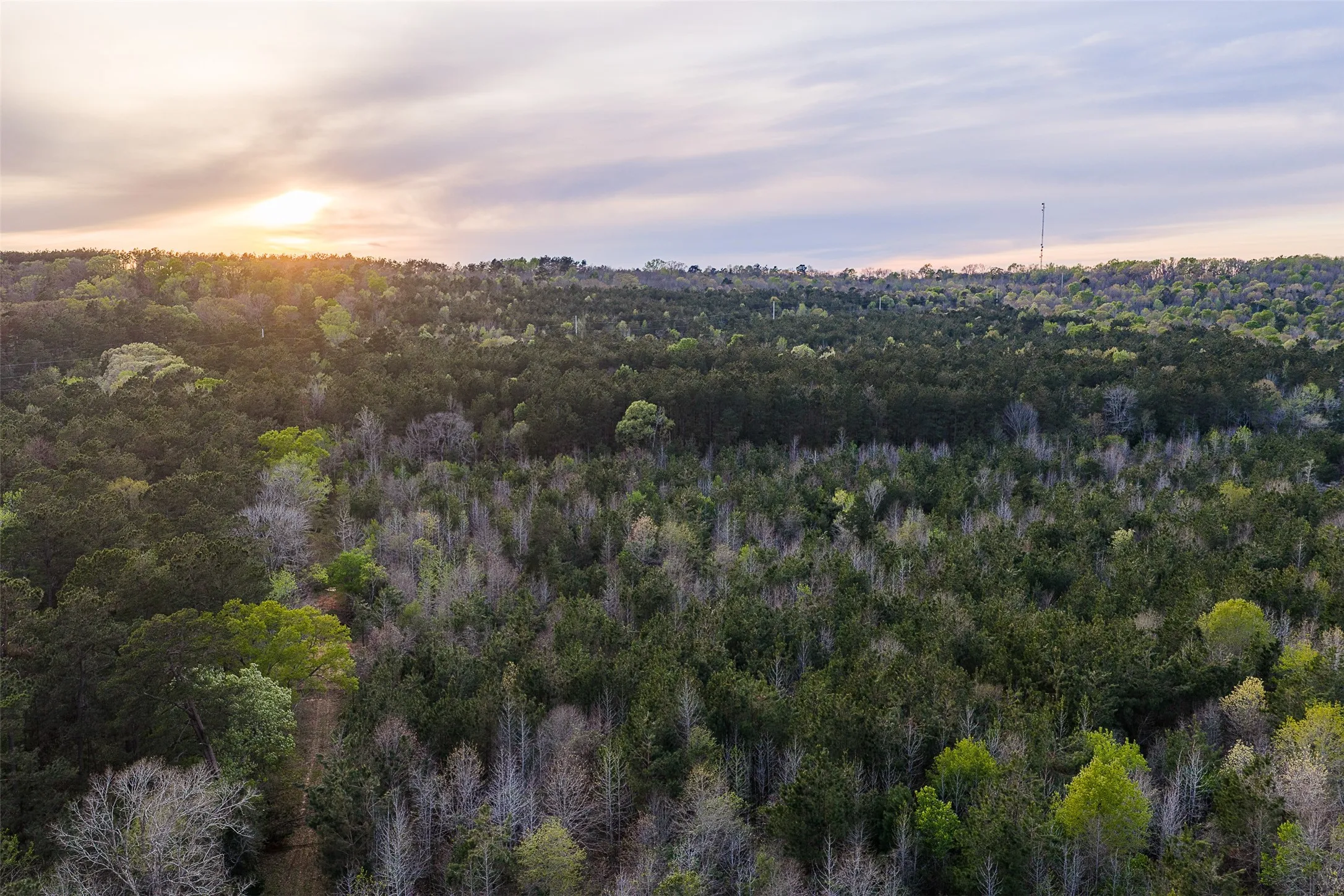 Unimproved Land For Sale in Nacogdoches County , 0 Off of County Road 839, Nacogdoches, Texas 75964, 0, 0, Garage spaces, 0 Sqft, built in 0, mls#21213477, Real Estate Agent in Nacogdoches, Homes For Sale in Nacogdoches county, Homes For Sale in Nacogdoches, Realtor in Nacogdoches Texas, Real Estate Brokerage Independent Realty Texas, Luminita Cordes Realtor
