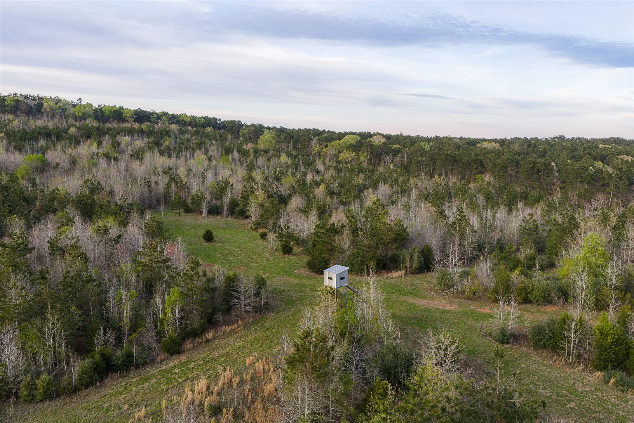 Unimproved Land For Sale in Nacogdoches County , 0 Off of County Road 839, Nacogdoches, Texas 75964, 0, 0, Garage spaces, 0 Sqft, built in 0, mls#21213477, Real Estate Agent in Nacogdoches, Homes For Sale in Nacogdoches county, Homes For Sale in Nacogdoches, Realtor in Nacogdoches Texas, Real Estate Brokerage Independent Realty Texas, Luminita Cordes Realtor