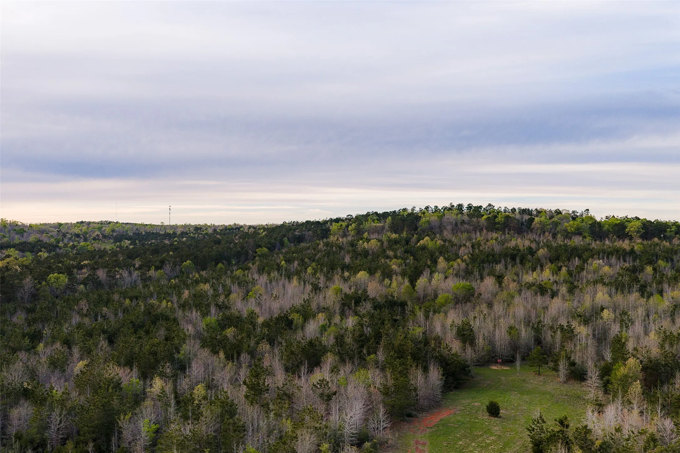 Unimproved Land For Sale in Nacogdoches County , 0 Off of County Road 839, Nacogdoches, Texas 75964, 0, 0, Garage spaces, 0 Sqft, built in 0, mls#21213477, Real Estate Agent in Nacogdoches, Homes For Sale in Nacogdoches county, Homes For Sale in Nacogdoches, Realtor in Nacogdoches Texas, Real Estate Brokerage Independent Realty Texas, Luminita Cordes Realtor