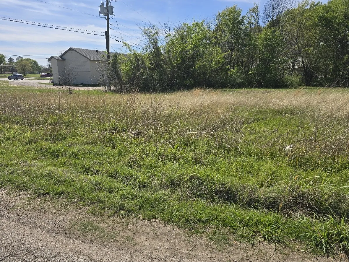 Unimproved Land For Sale in Henderson County , Lot 39 Loon Bay Drive, Gun Barrel City, Texas 75156, 0, 0, Garage spaces, 0 Sqft, built in 0, mls#21213406, Real Estate Agent in Gun Barrel City, Homes For Sale in Henderson county, Homes For Sale in Gun Barrel City, Realtor in Gun Barrel City Texas, Real Estate Brokerage Independent Realty Texas, Luminita Cordes Realtor