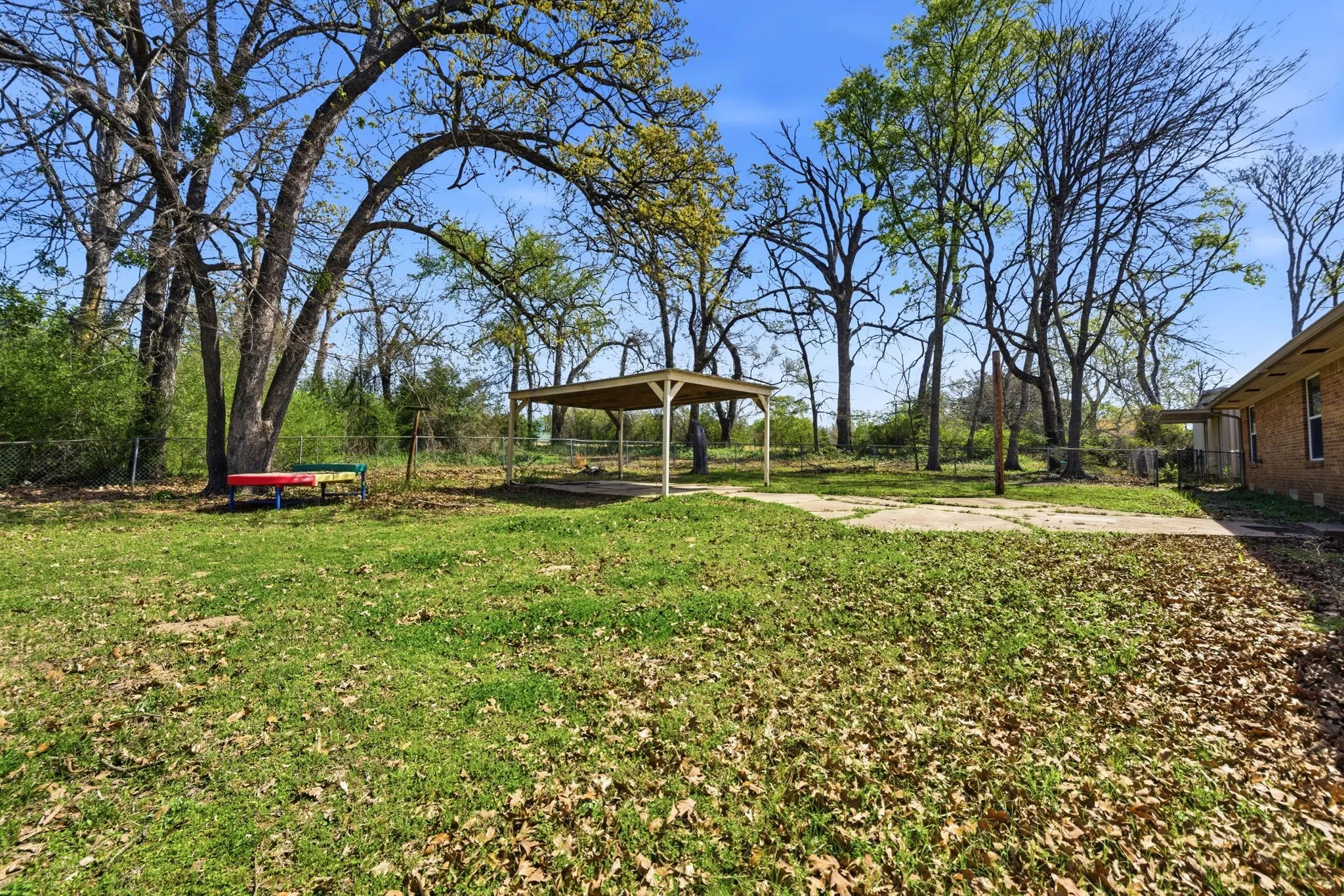 Back Yard Area