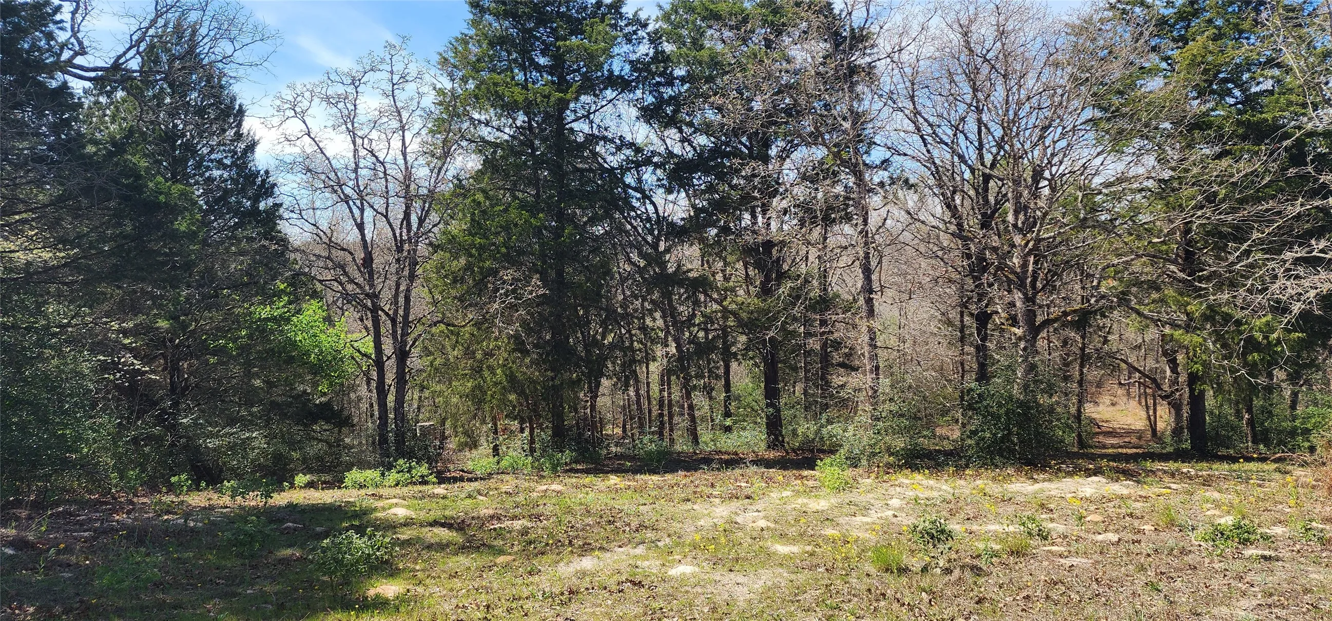 Unimproved Land For Sale in Henderson County , 14612 County Road 1114, Athens, Texas 75751, 0, 0, Garage spaces, 0 Sqft, built in 0, mls#21213531, Real Estate Agent in Athens, Homes For Sale in Henderson county, Homes For Sale in Athens, Realtor in Athens Texas, Real Estate Brokerage Independent Realty Texas, Luminita Cordes Realtor