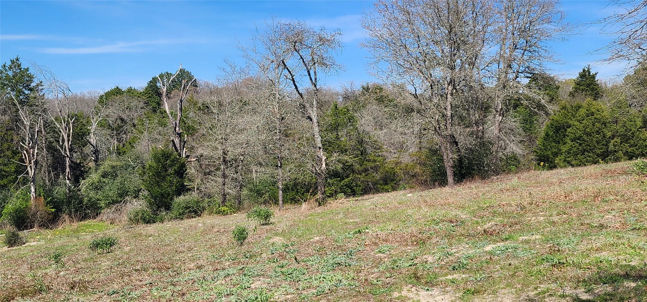 View of undeveloped land